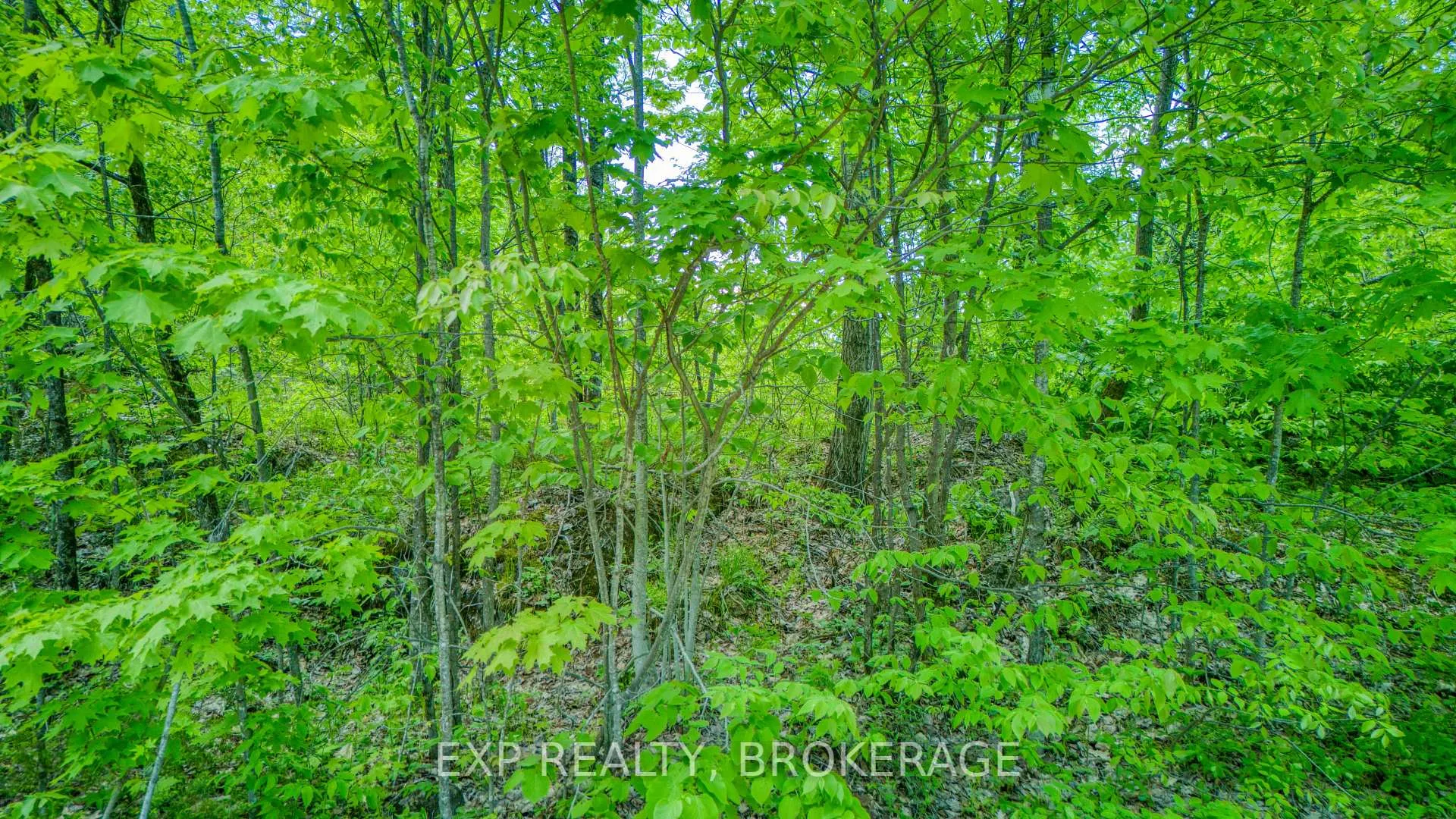 Photo 13 of 2250 Clarendon Road, Frontenac, Frontenac Centre — HOMEH