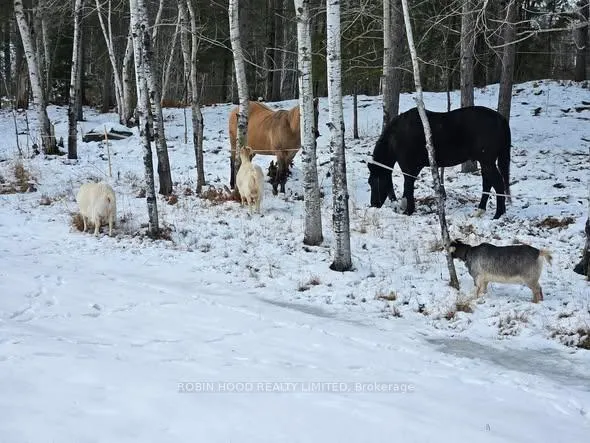Photo 7 of 892 Secord Road, Sudbury Remote Area — HOMEH