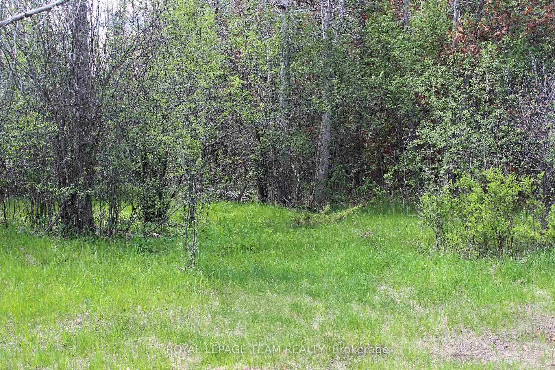 Photo 6 of 3475 Hwy 17, Ottawa, Fitzroy Ward (South West) — HOMEH