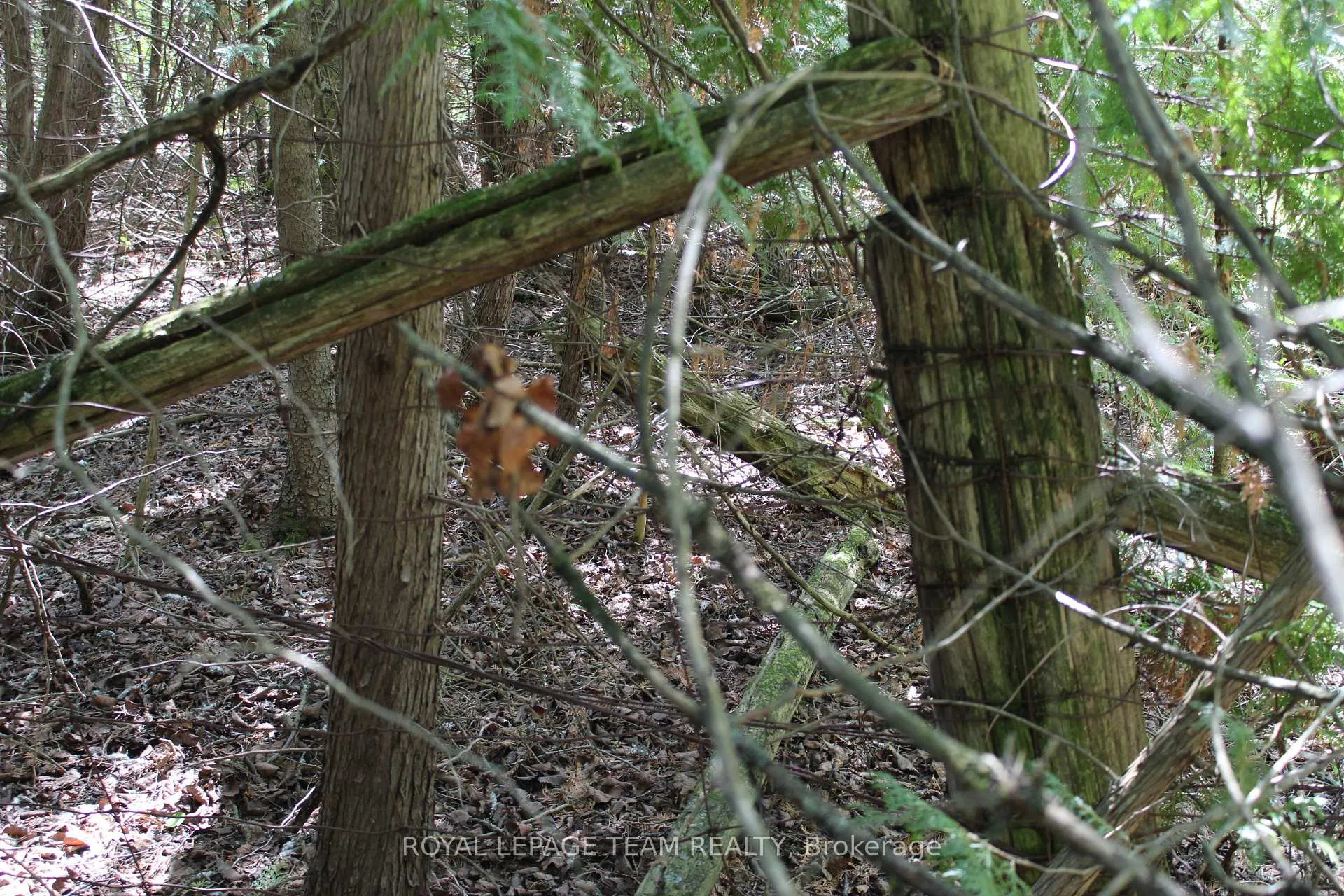 Photo 7 of 3475 Hwy 17, Ottawa, Fitzroy Ward (South West) — HOMEH