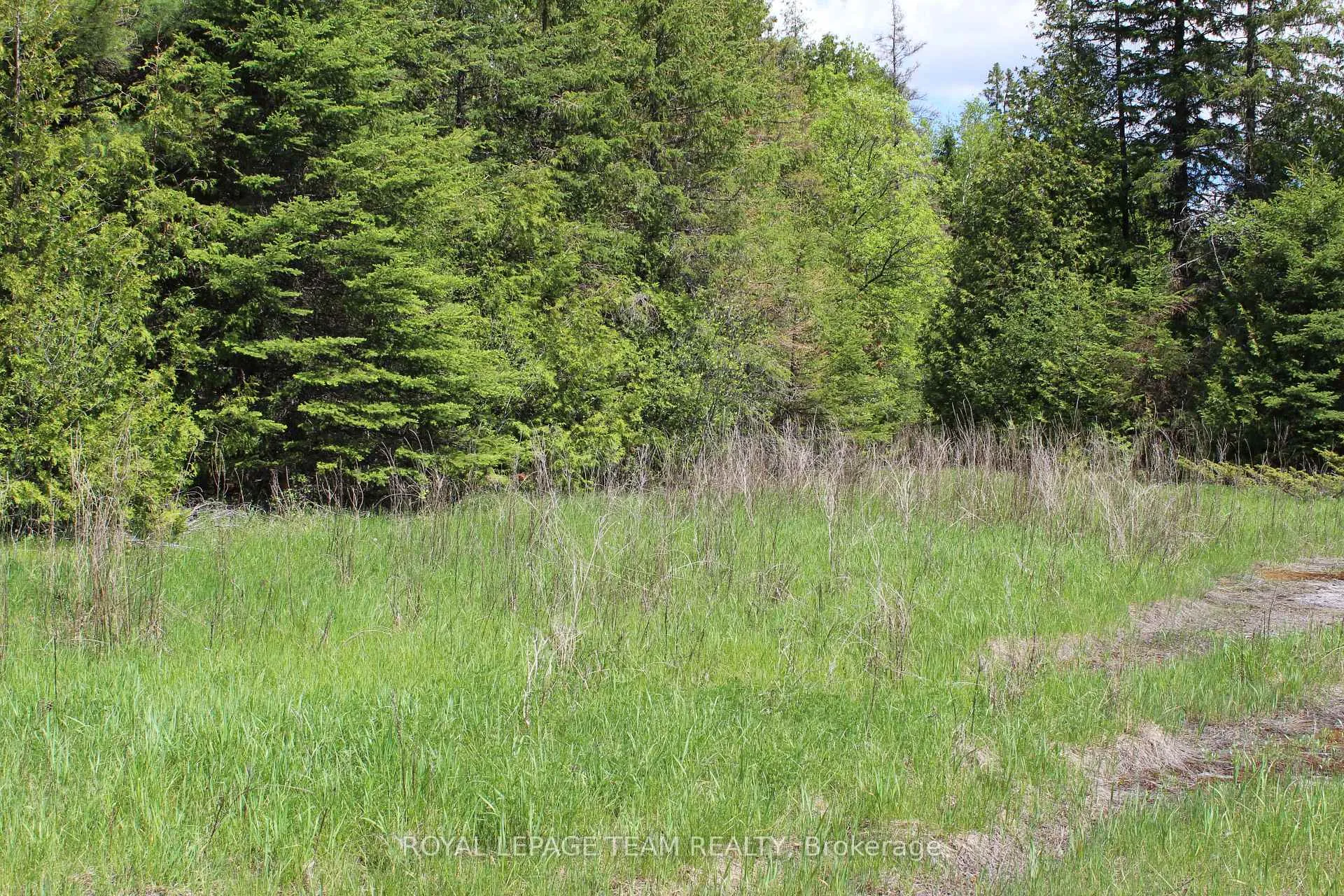 Photo 9 of 3475 Hwy 17, Ottawa, Fitzroy Ward (South West) — HOMEH
