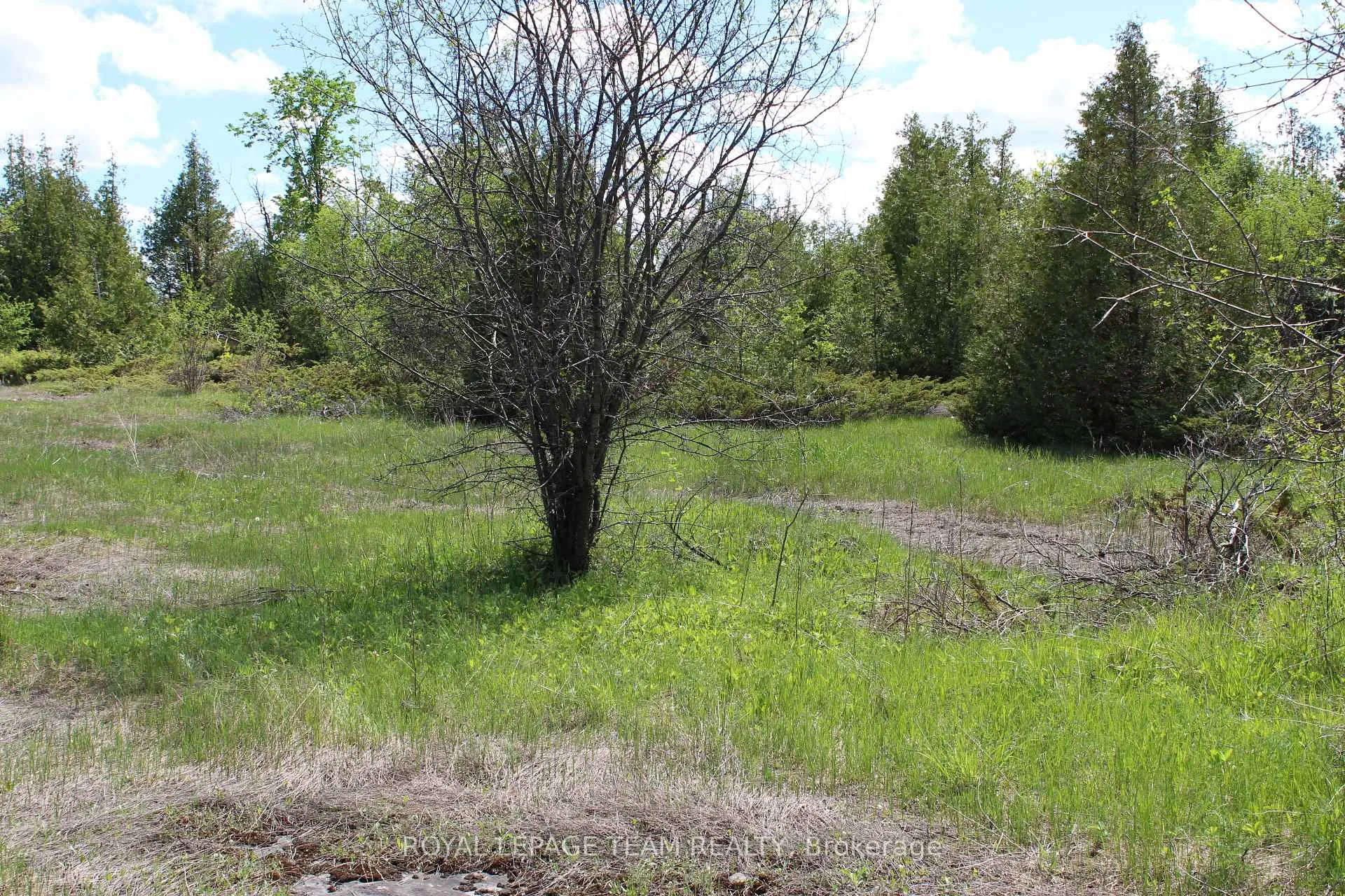 Photo 13 of 3475 Hwy 17, Ottawa, Fitzroy Ward (South West) — HOMEH