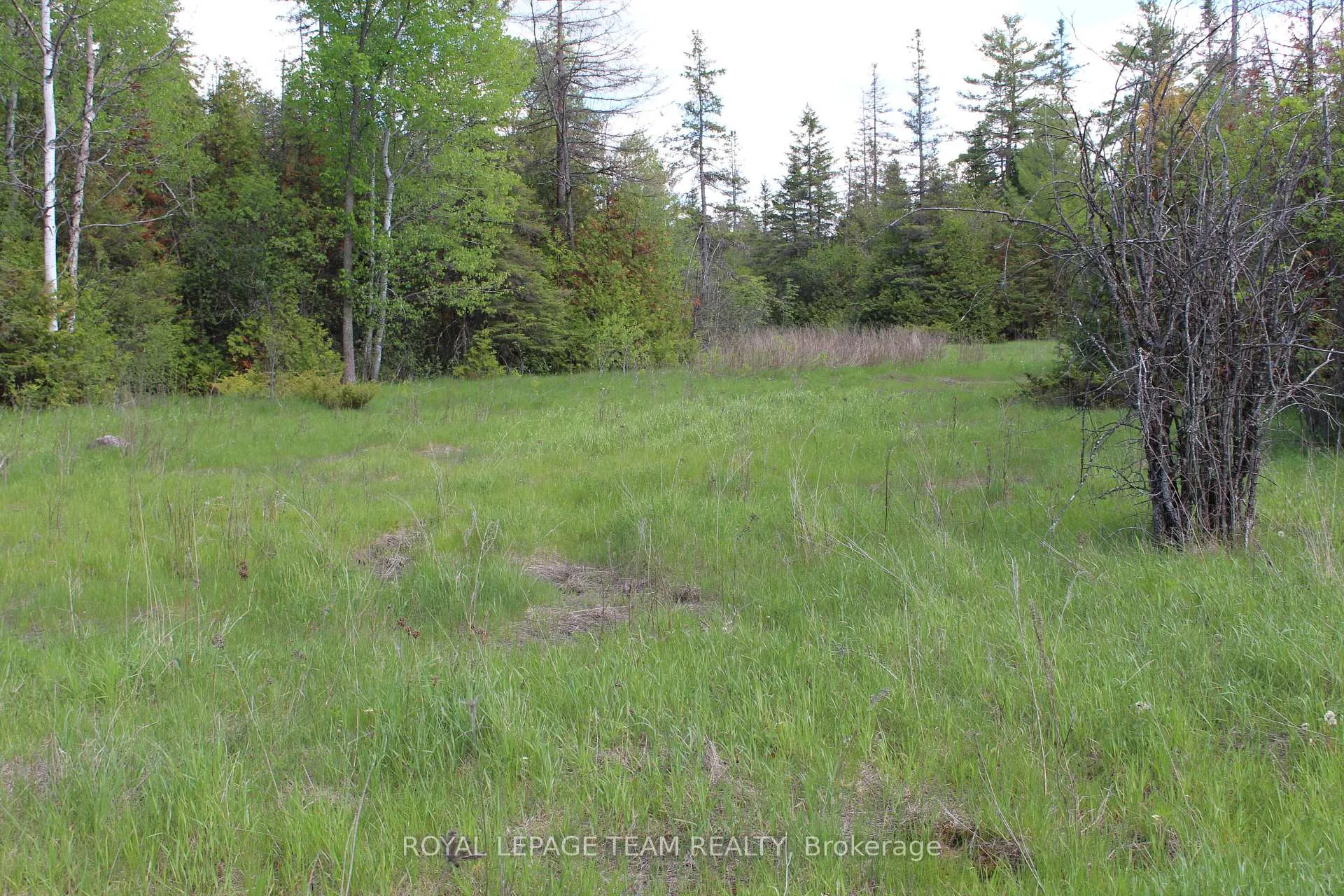 Photo 15 of 3475 Hwy 17, Ottawa, Fitzroy Ward (South West) — HOMEH