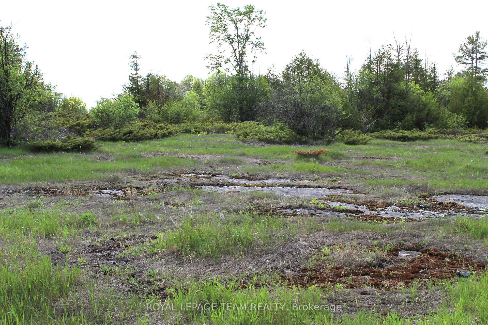 Photo 16 of 3475 Hwy 17, Ottawa, Fitzroy Ward (South West) — HOMEH