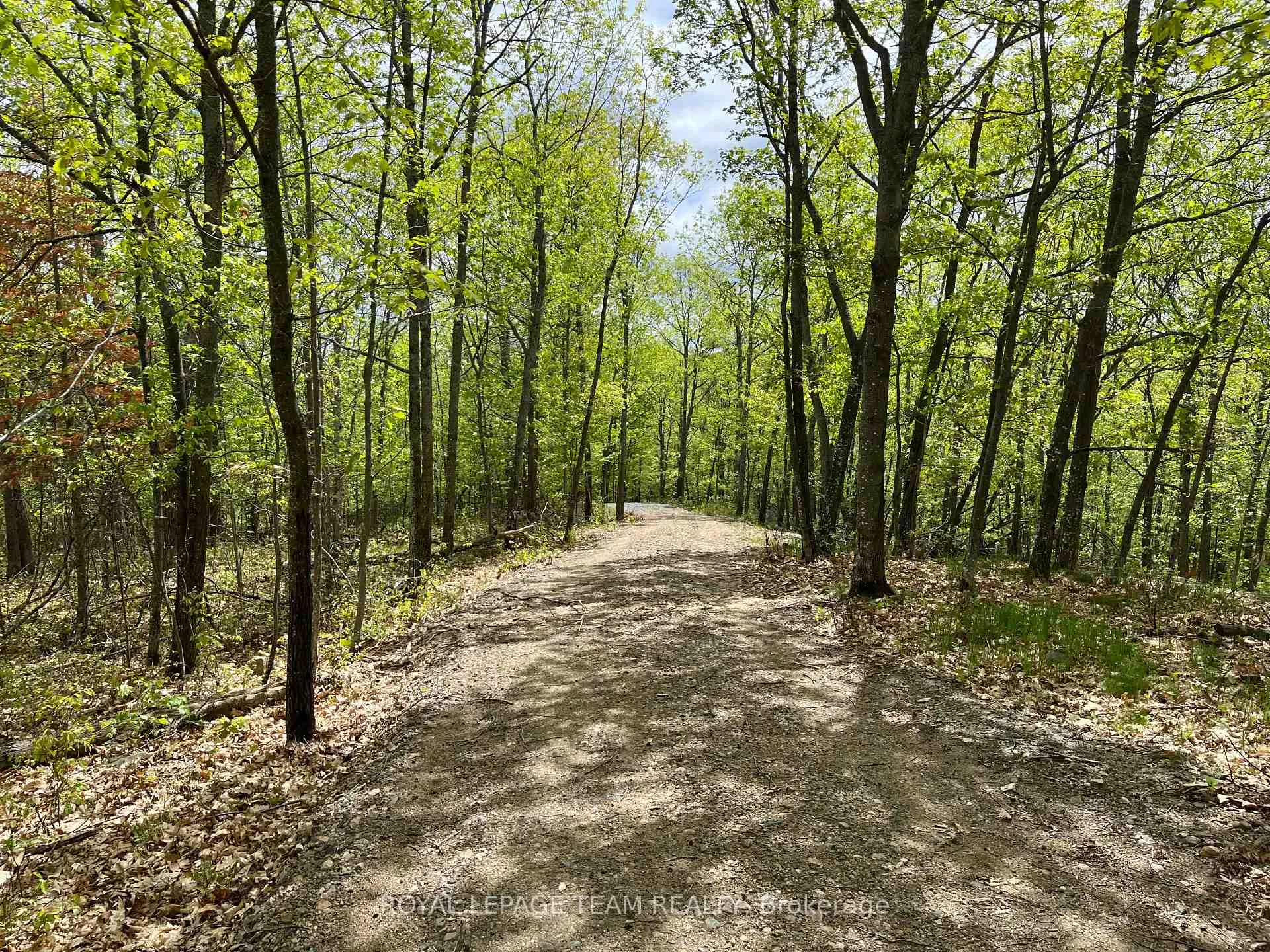 Photo 2 of Wales Drive, Madawaska Valley, Madawaska Valley — HOMEH