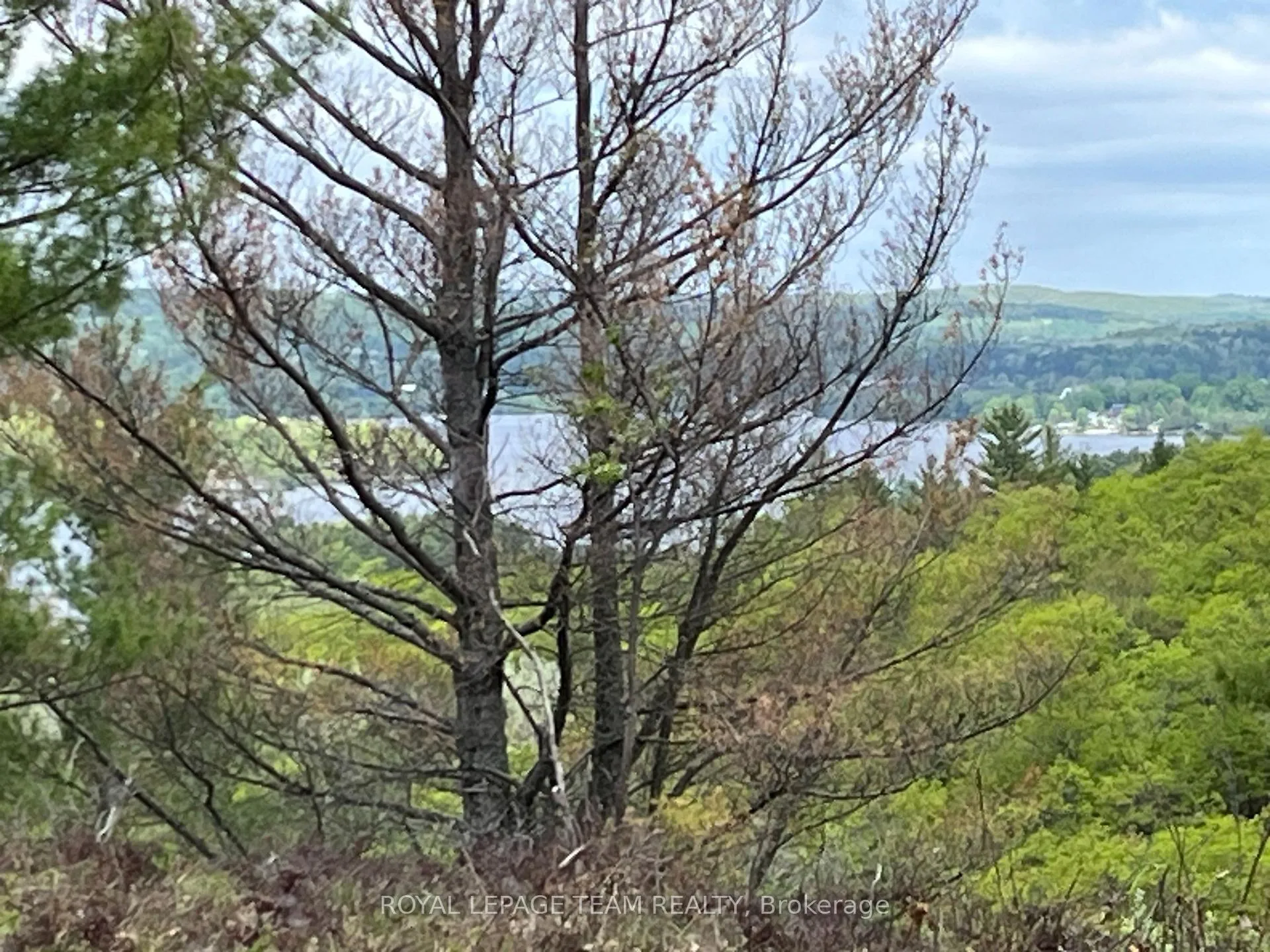 Photo 4 of Wales Drive, Madawaska Valley, Madawaska Valley — HOMEH