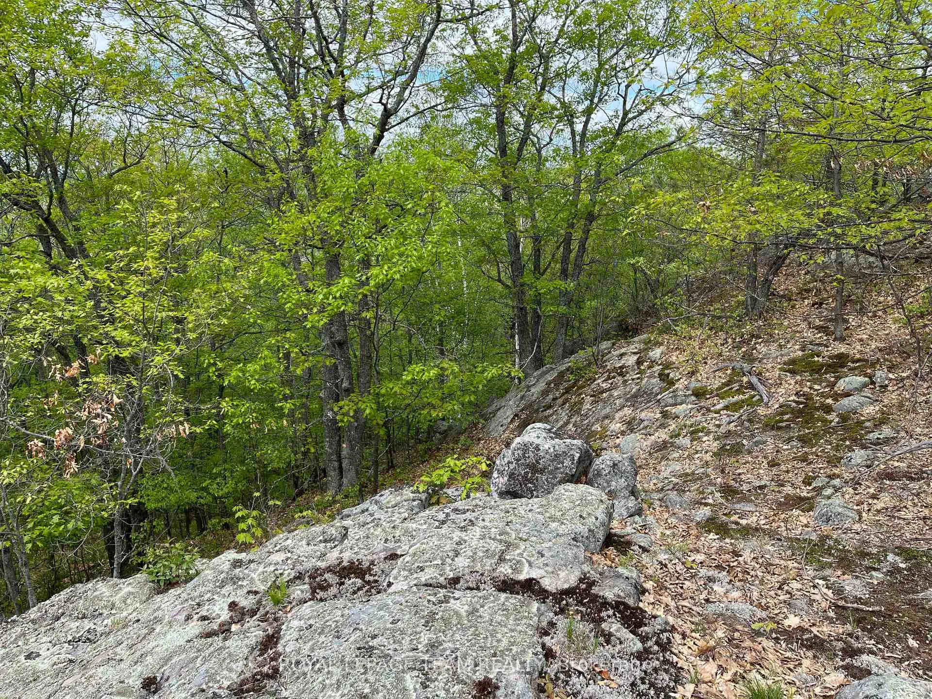Photo 11 of Wales Drive, Madawaska Valley, Madawaska Valley — HOMEH