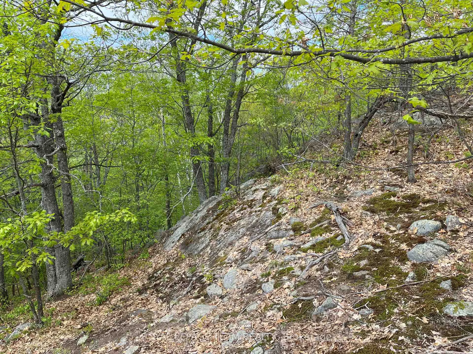 Photo 13 of Wales Drive, Madawaska Valley, Madawaska Valley — HOMEH