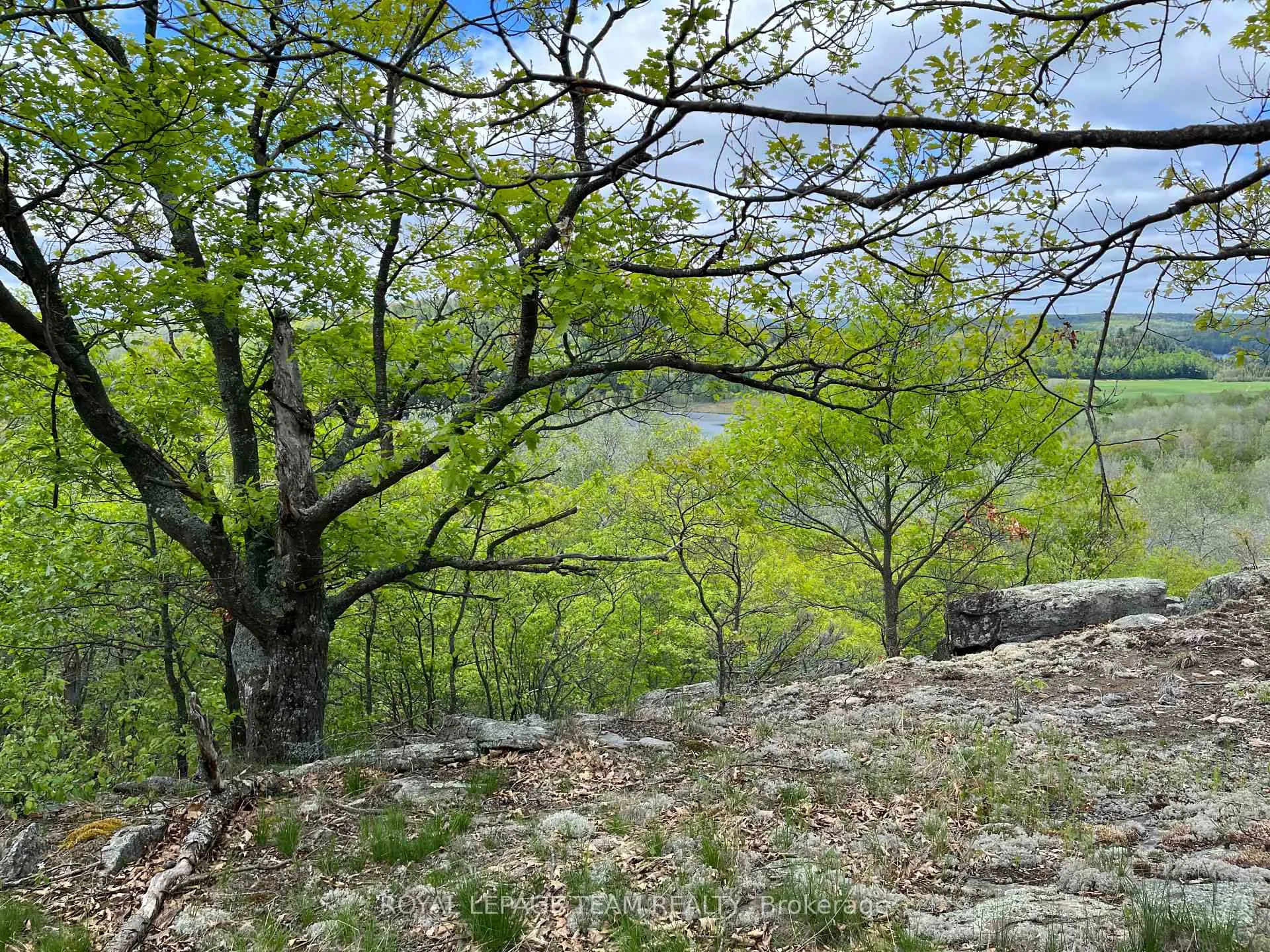 Photo 14 of Wales Drive, Madawaska Valley, Madawaska Valley — HOMEH