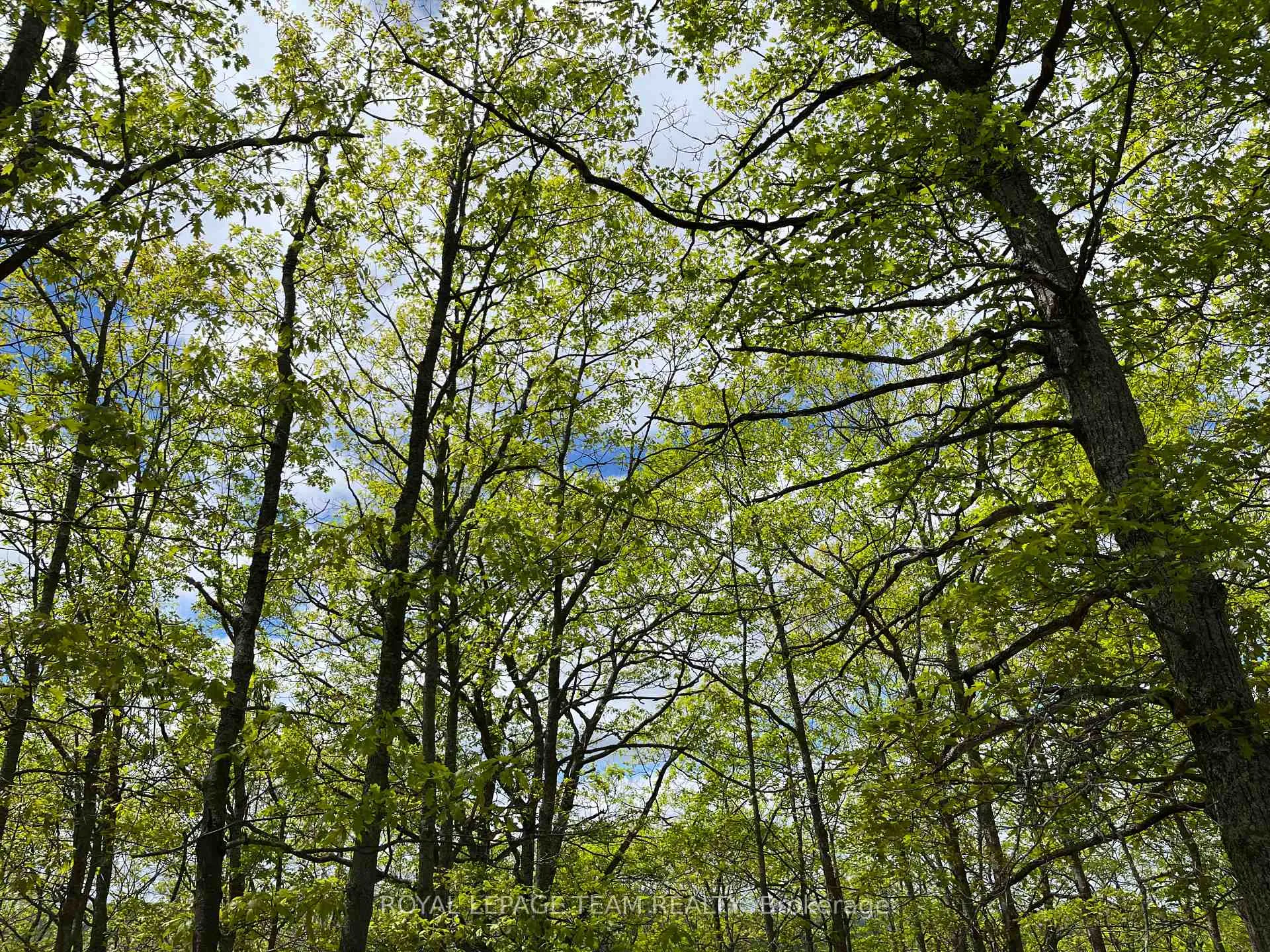 Photo 19 of Wales Drive, Madawaska Valley, Madawaska Valley — HOMEH