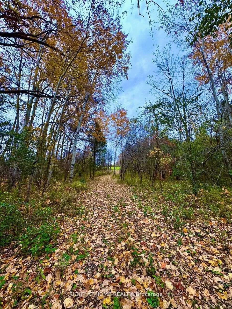 Photo 5 of 397641 10 Concession, Meaford — HOMEH