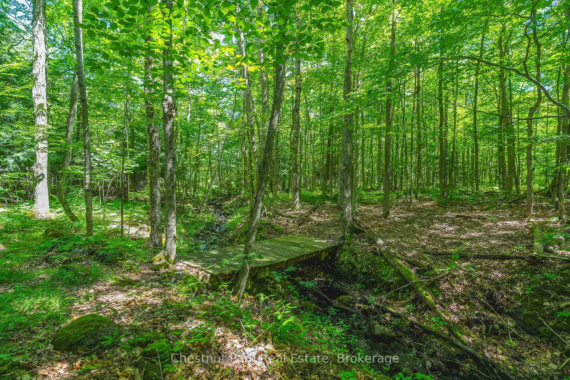 Photo 56 of 600380 Sideroad 50 N, Chatsworth — HOMEH