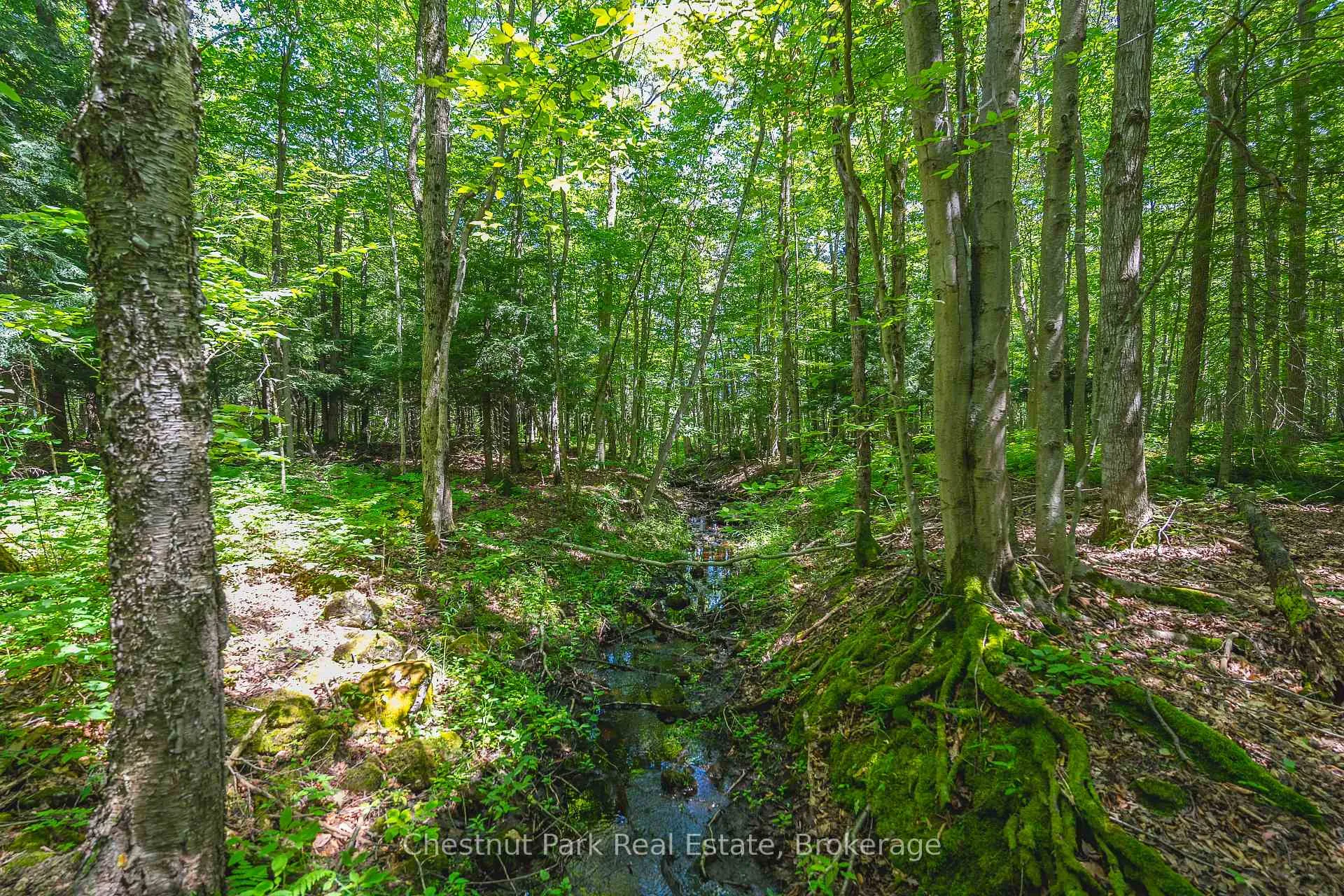 Photo 57 of 600380 Sideroad 50 N, Chatsworth — HOMEH