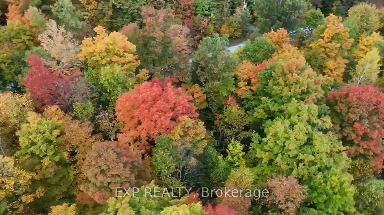 Photo 24 of 00 Iron Mine Road, Lanark Highlands, Lanark Highlands (Dalhousie) Twp — HOMEH