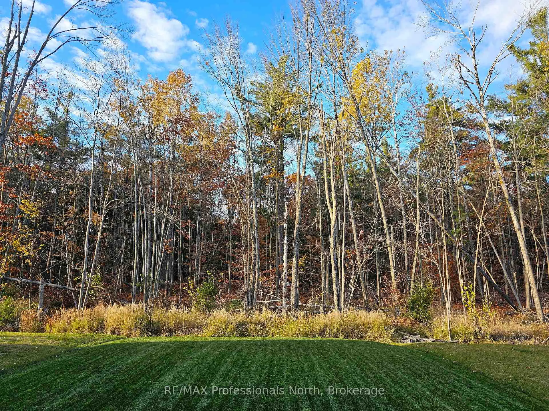 Photo 38 of 385 Beechwood Forest Lane, Gravenhurst, Muskoka (S) — HOMEH