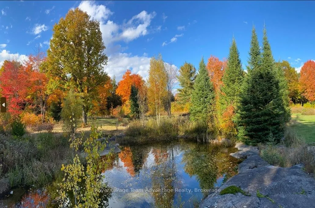 Photo 13 of 768 Hurdville Road, McKellar — HOMEH
