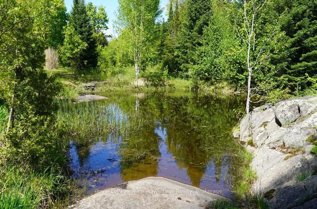 Photo 42 of 768 Hurdville Road, McKellar — HOMEH