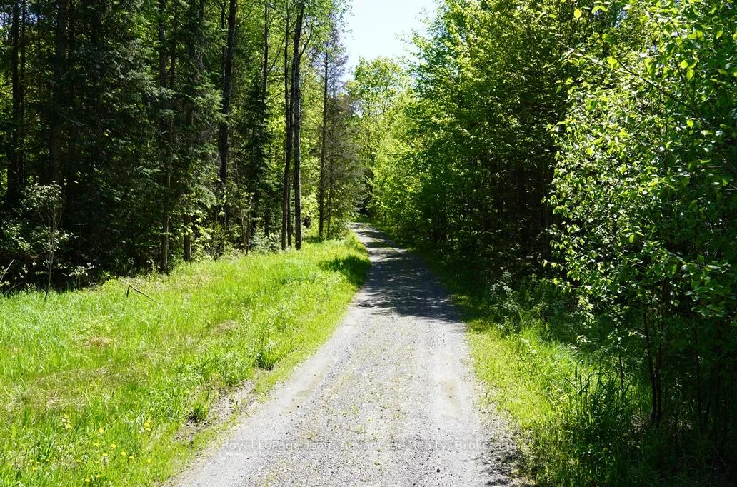 Photo 43 of 768 Hurdville Road, McKellar — HOMEH