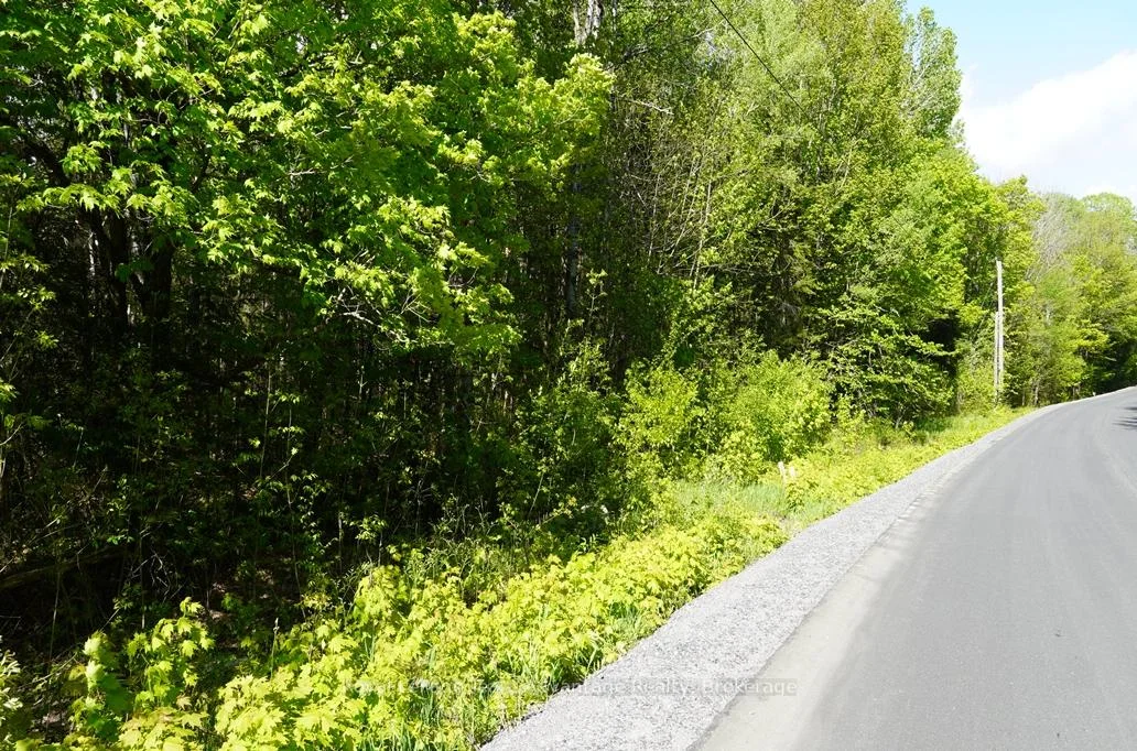 Photo 45 of 768 Hurdville Road, McKellar — HOMEH