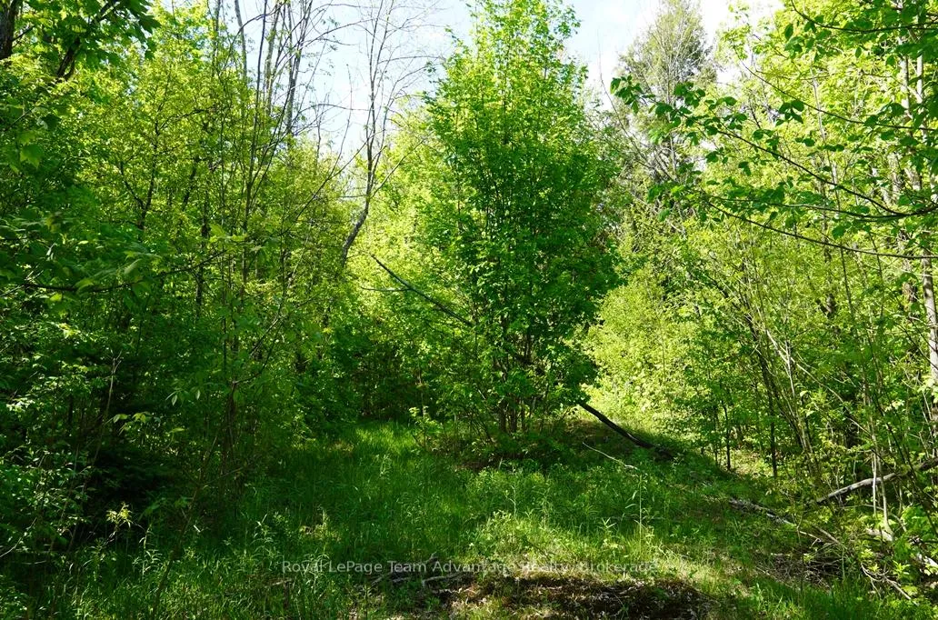 Photo 5 of Hurdville Road S, McKellar — HOMEH