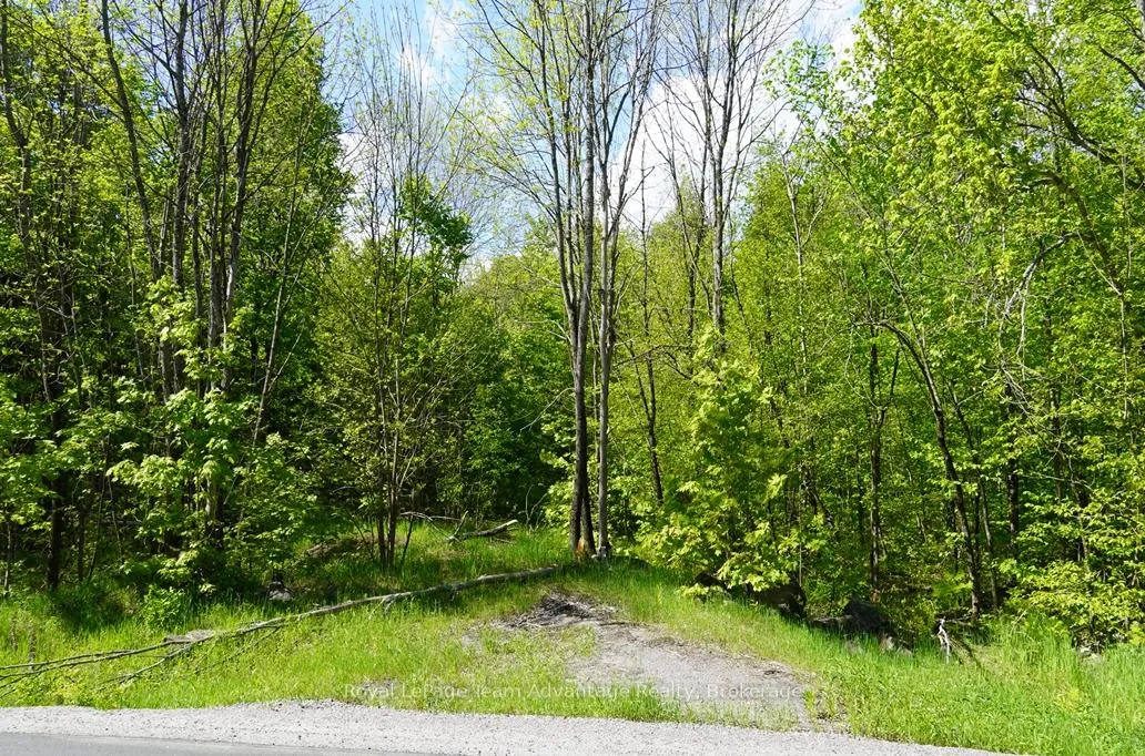 Photo 6 of Hurdville Road S, McKellar — HOMEH