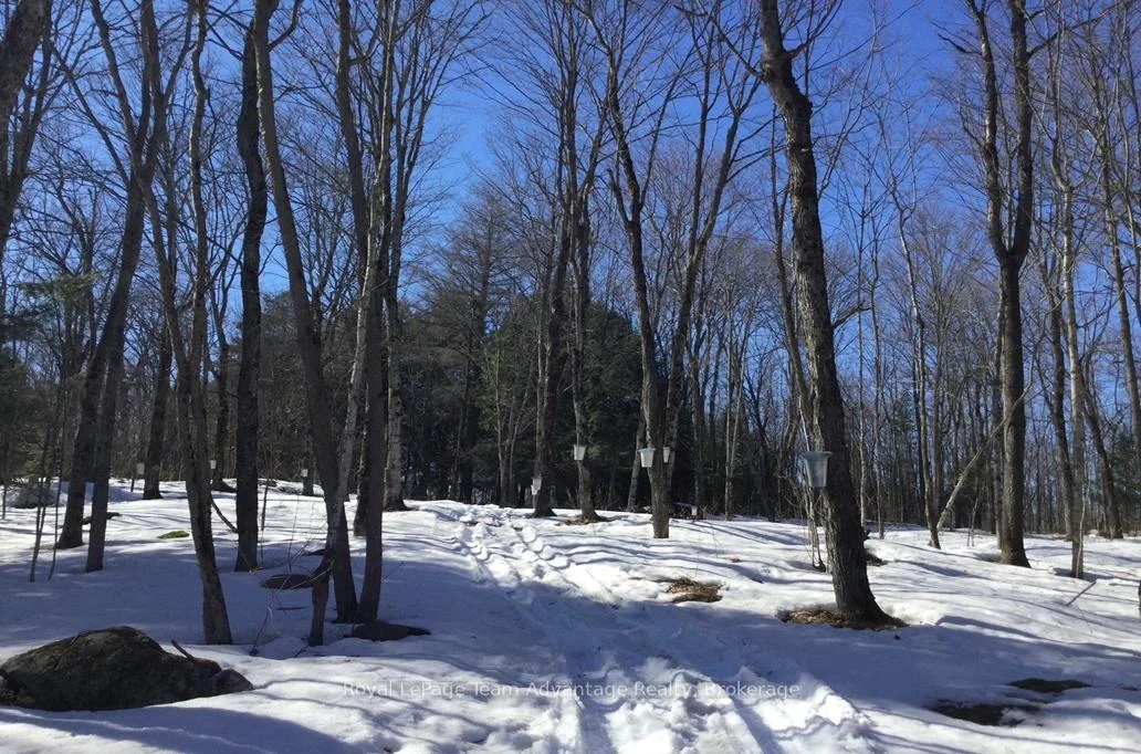 Photo 3 of Hurdville Road S, McKellar — HOMEH