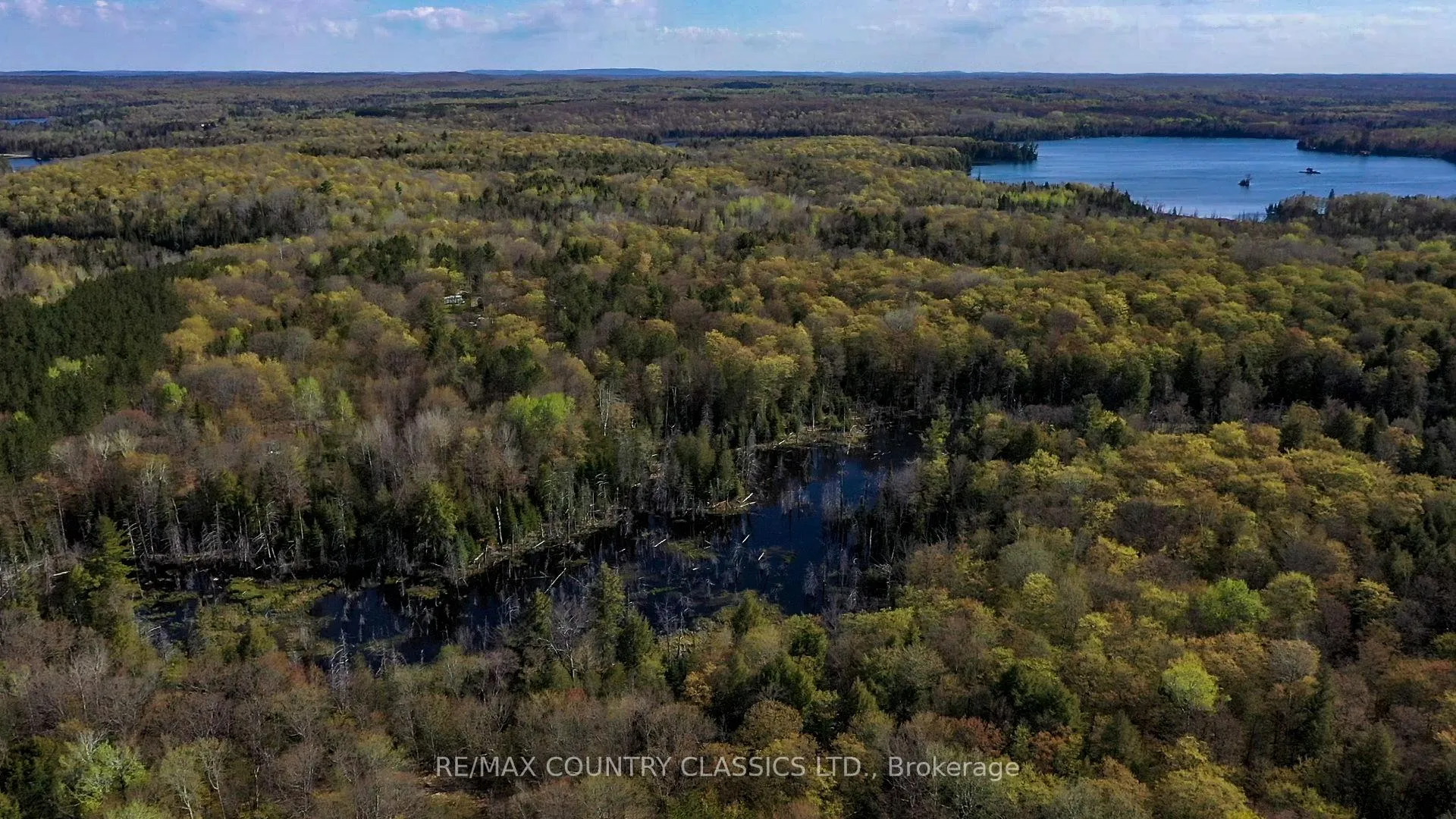 Photo 3 of Trotter Oitment Road N, North Kawartha — HOMEH