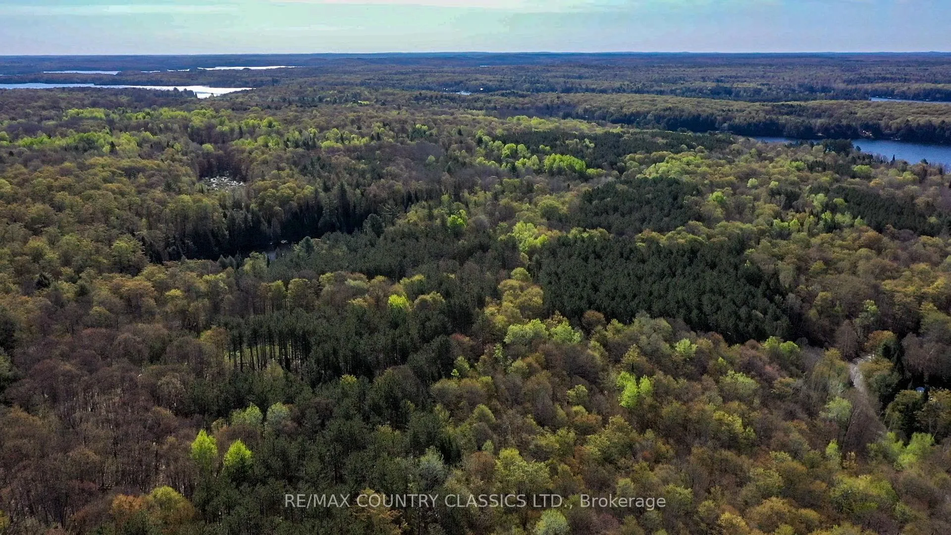 Photo 17 of Trotter Oitment Road N, North Kawartha — HOMEH