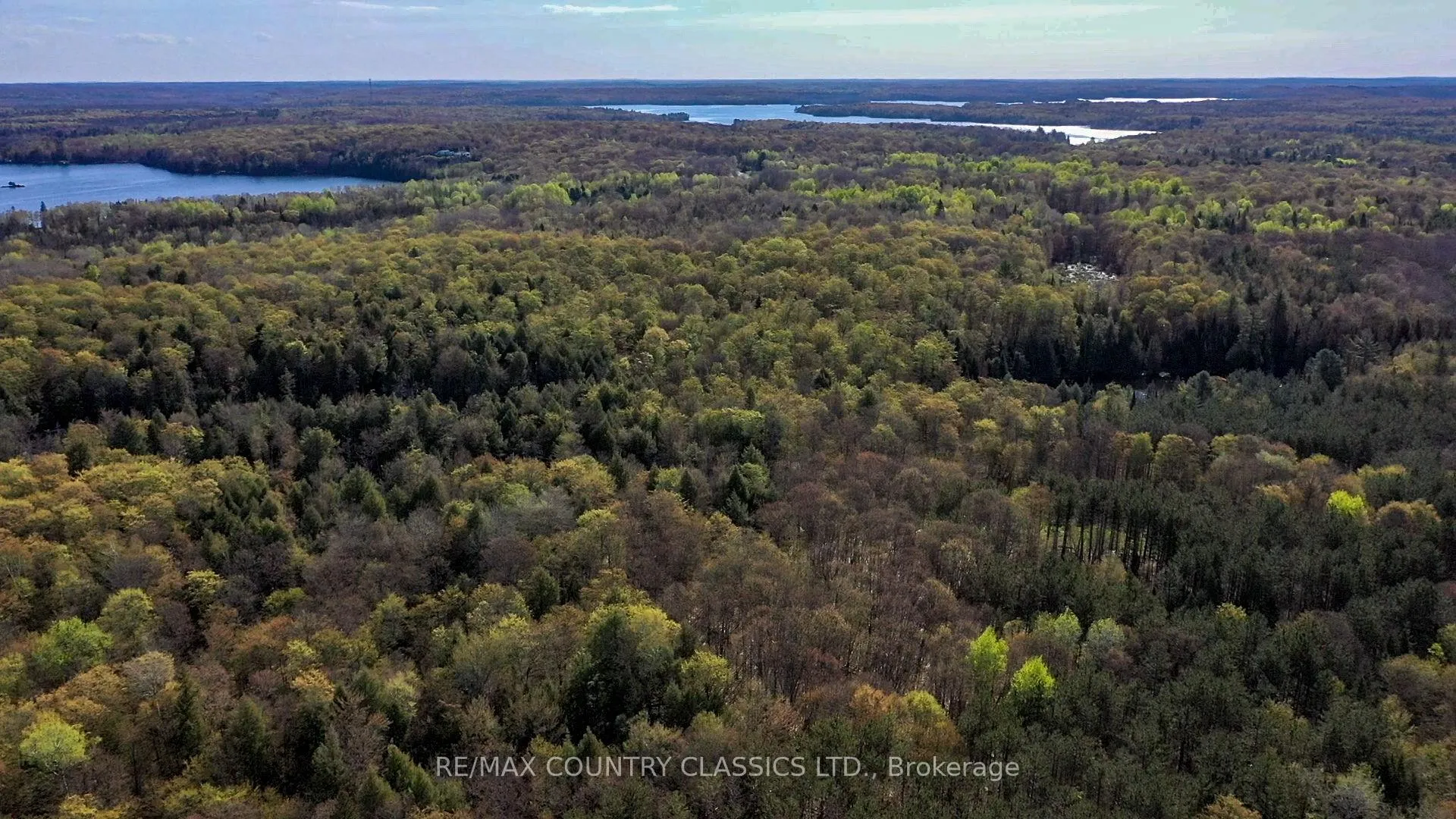 Photo 18 of Trotter Oitment Road N, North Kawartha — HOMEH