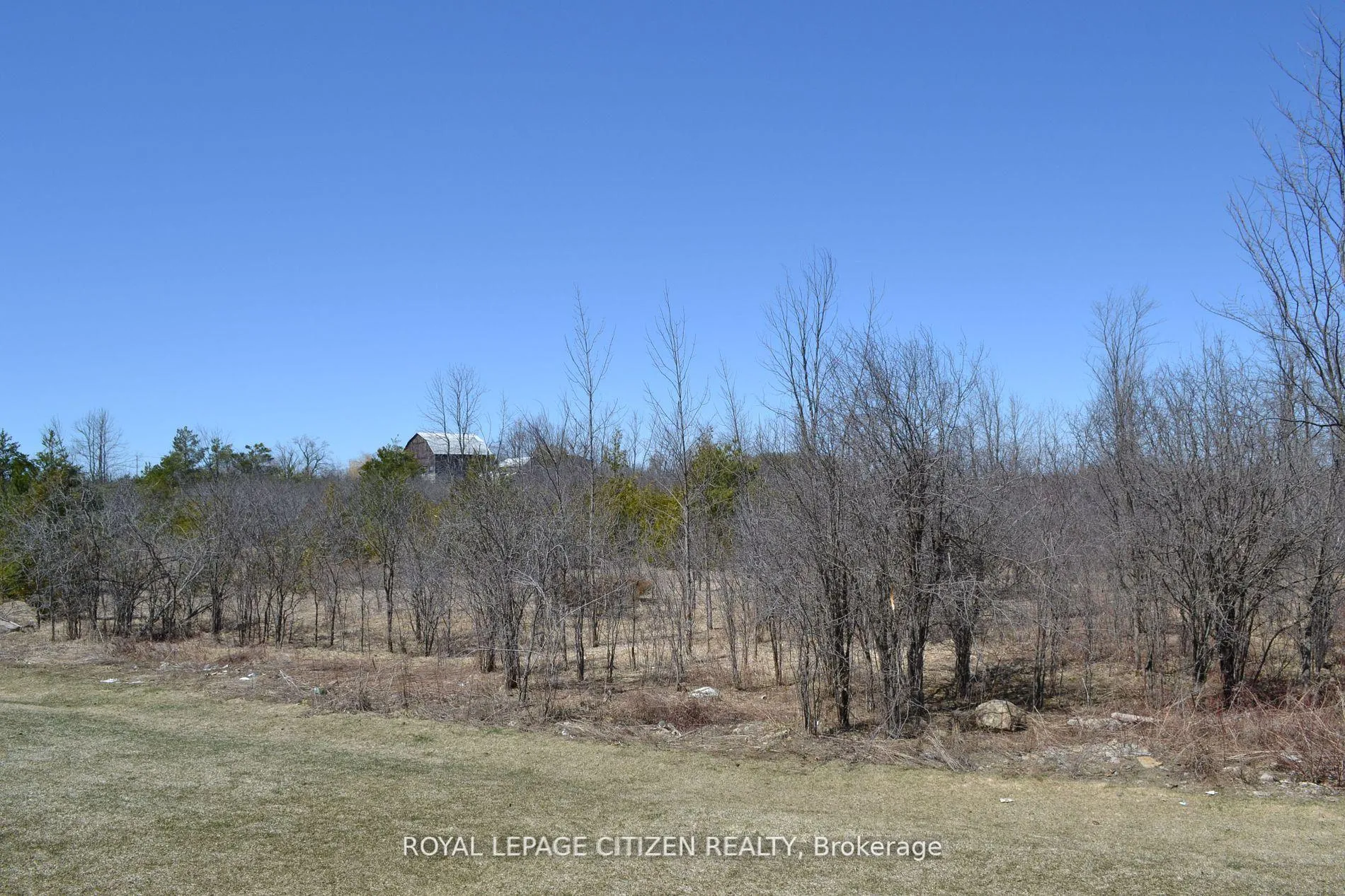 Photo 20 of 41 Carew Boulevard, Kawartha Lakes, Lindsay — HOMEH