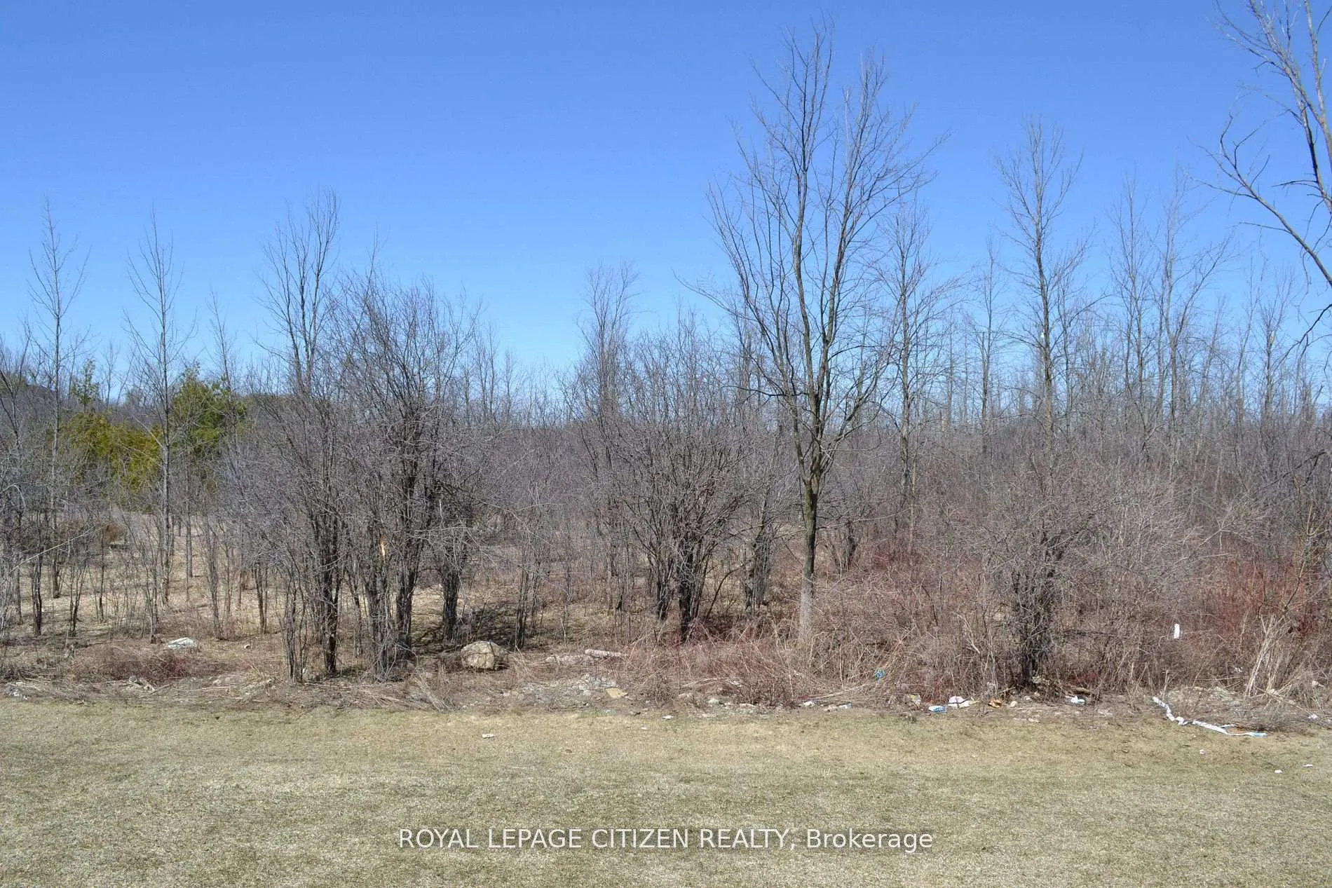 Photo 21 of 41 Carew Boulevard, Kawartha Lakes, Lindsay — HOMEH
