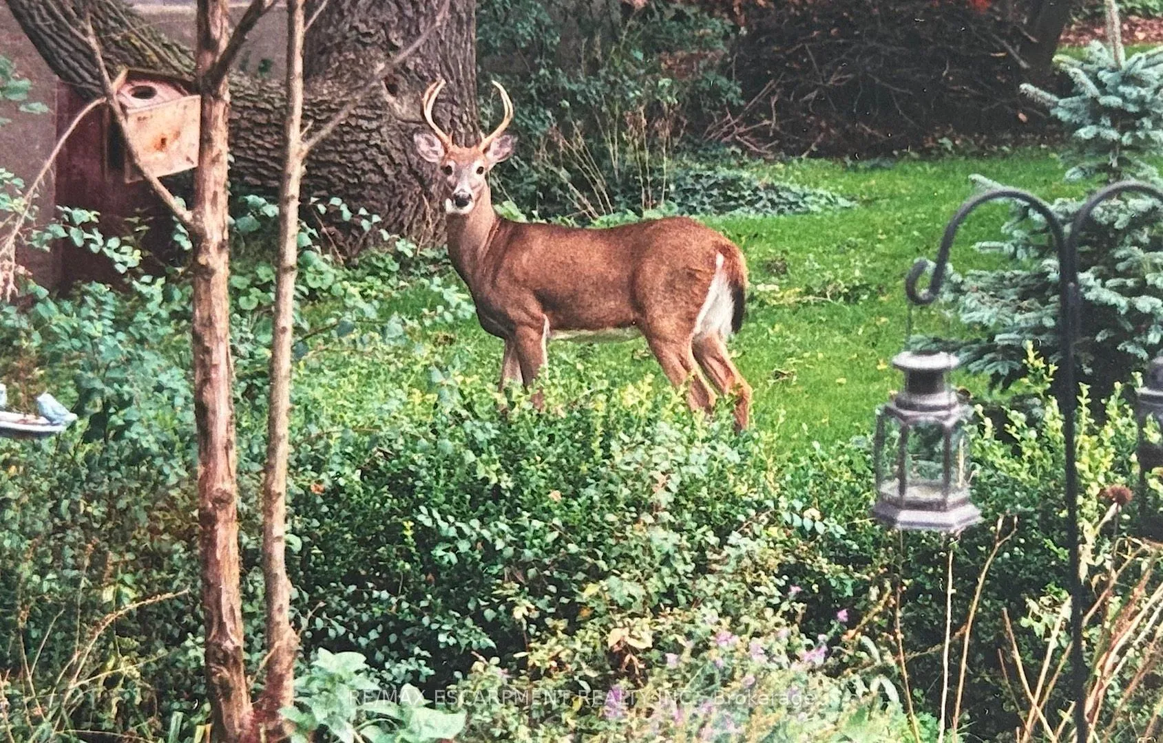Photo 3 of 1987 Snake Road, Burlington, Grindstone — HOMEH