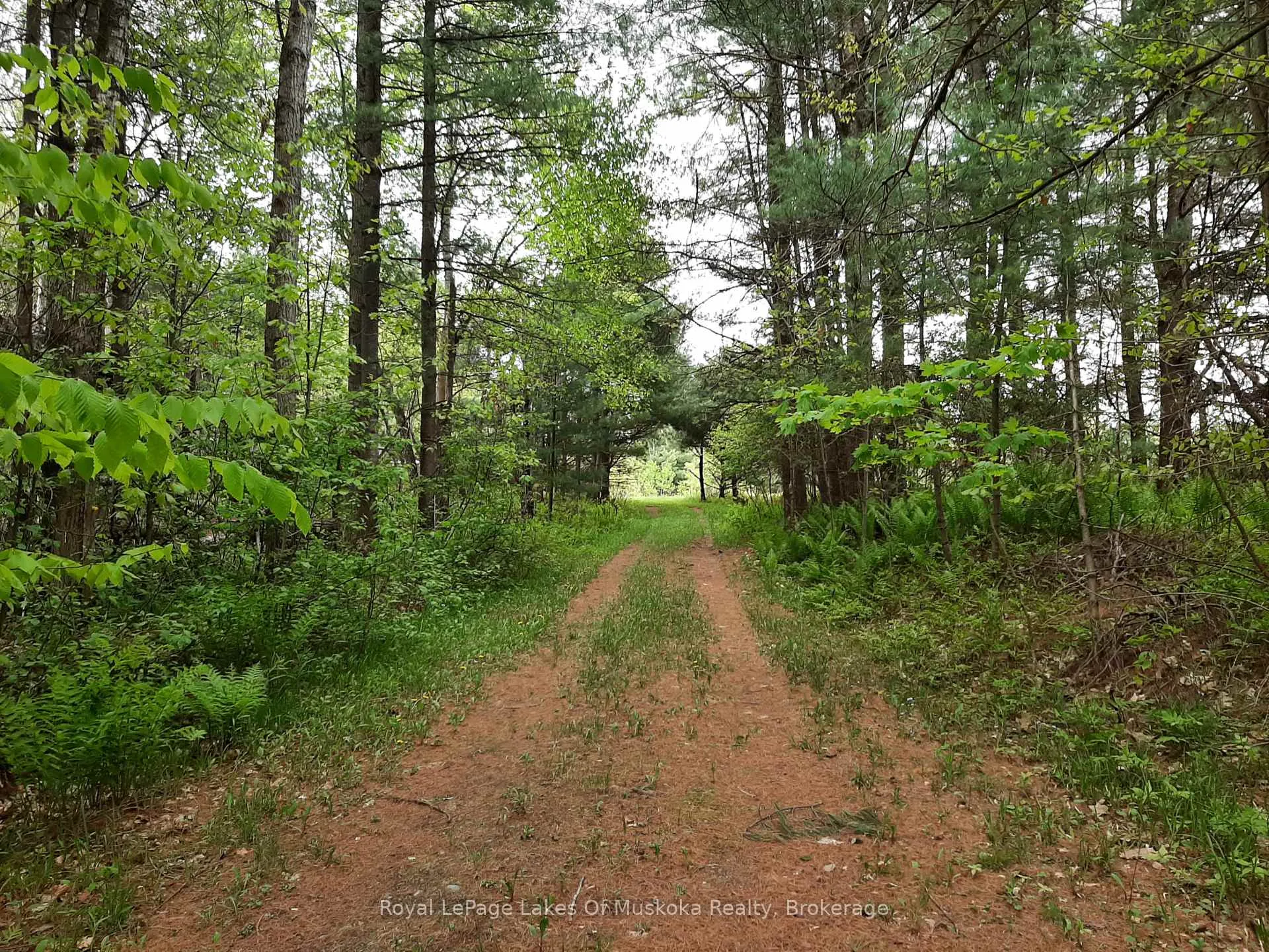 Photo 47 of 216 Beaumont Road, Bracebridge, Muskoka (N) — HOMEH