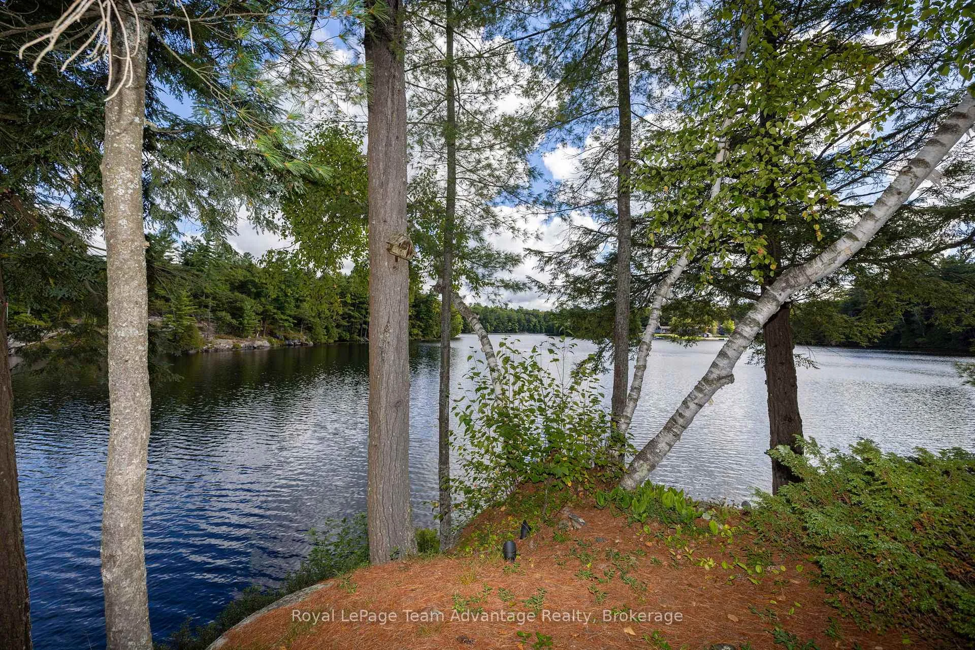 Photo 25 of 5 Fallingview Trail, Seguin — HOMEH