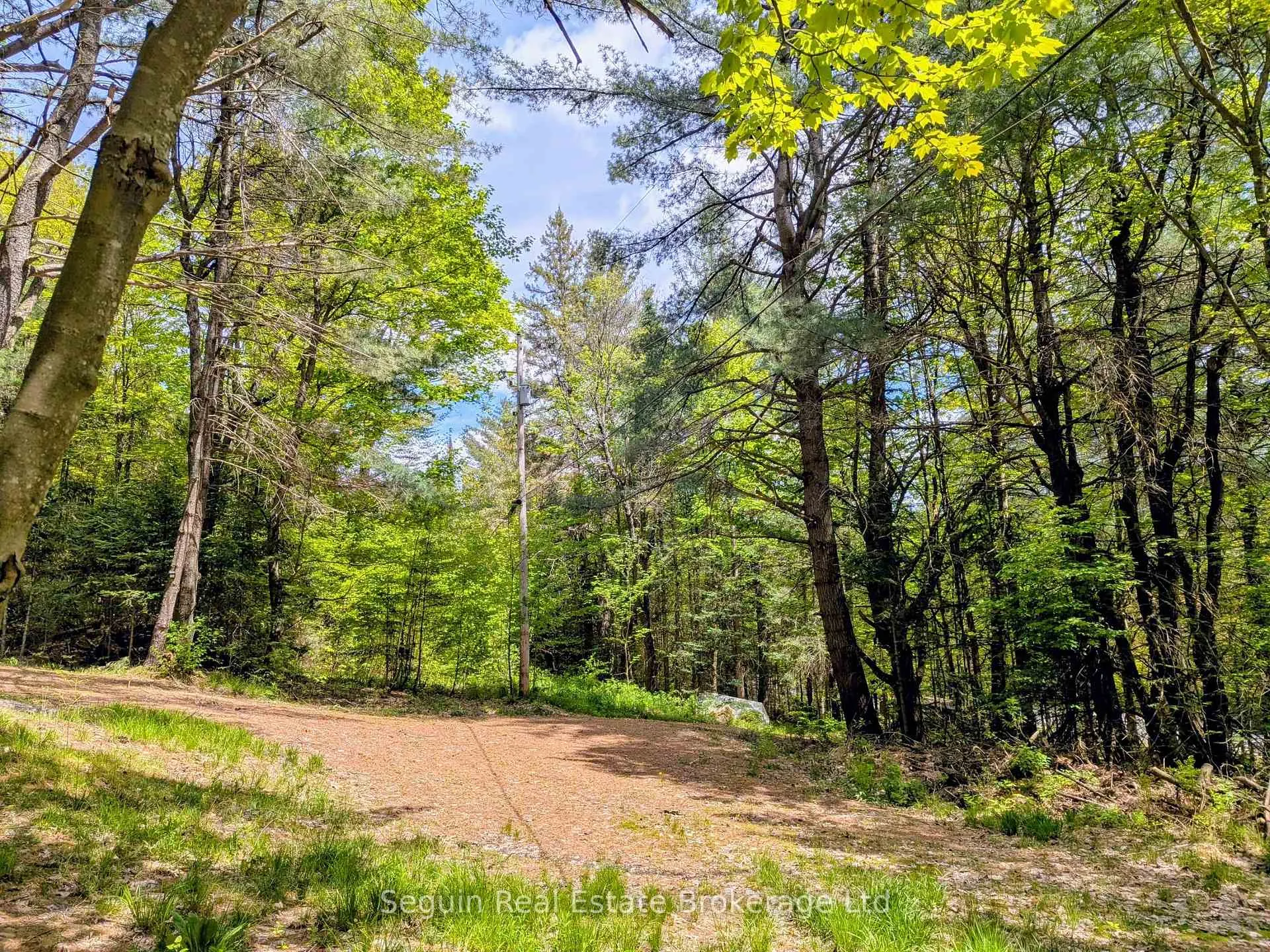 Photo 3 of 3840 518 Highway, McMurrich/Monteith, McMurrich — HOMEH