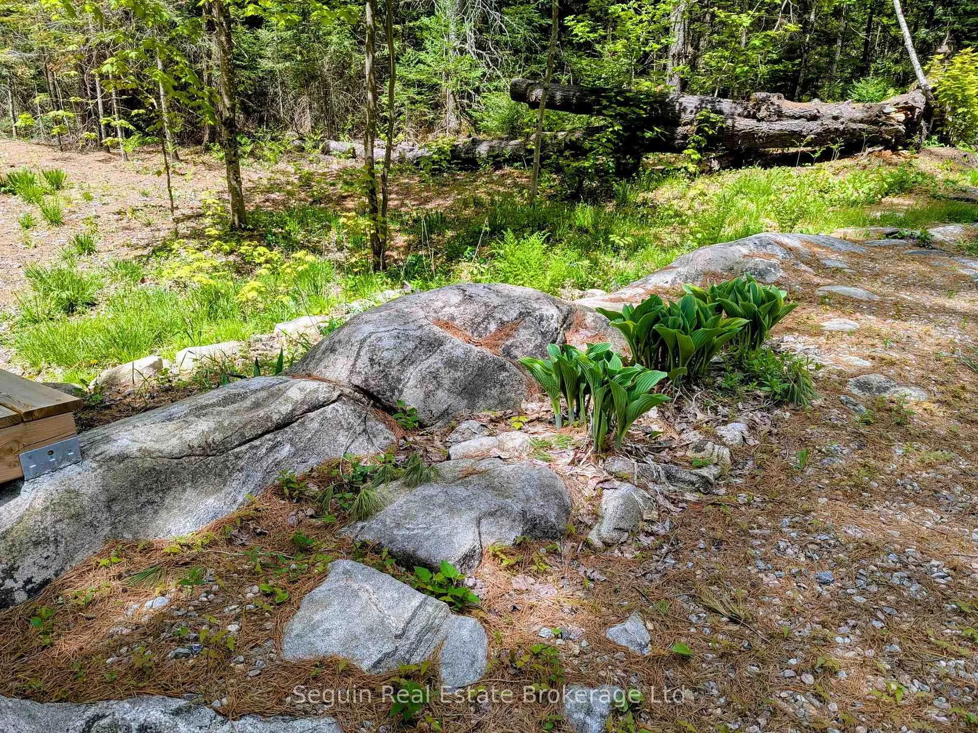Photo 5 of 3840 518 Highway, McMurrich/Monteith, McMurrich — HOMEH