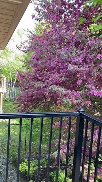 Photo 49 of 17 April Gardens, Aurora, Aurora Heights — HOMEH