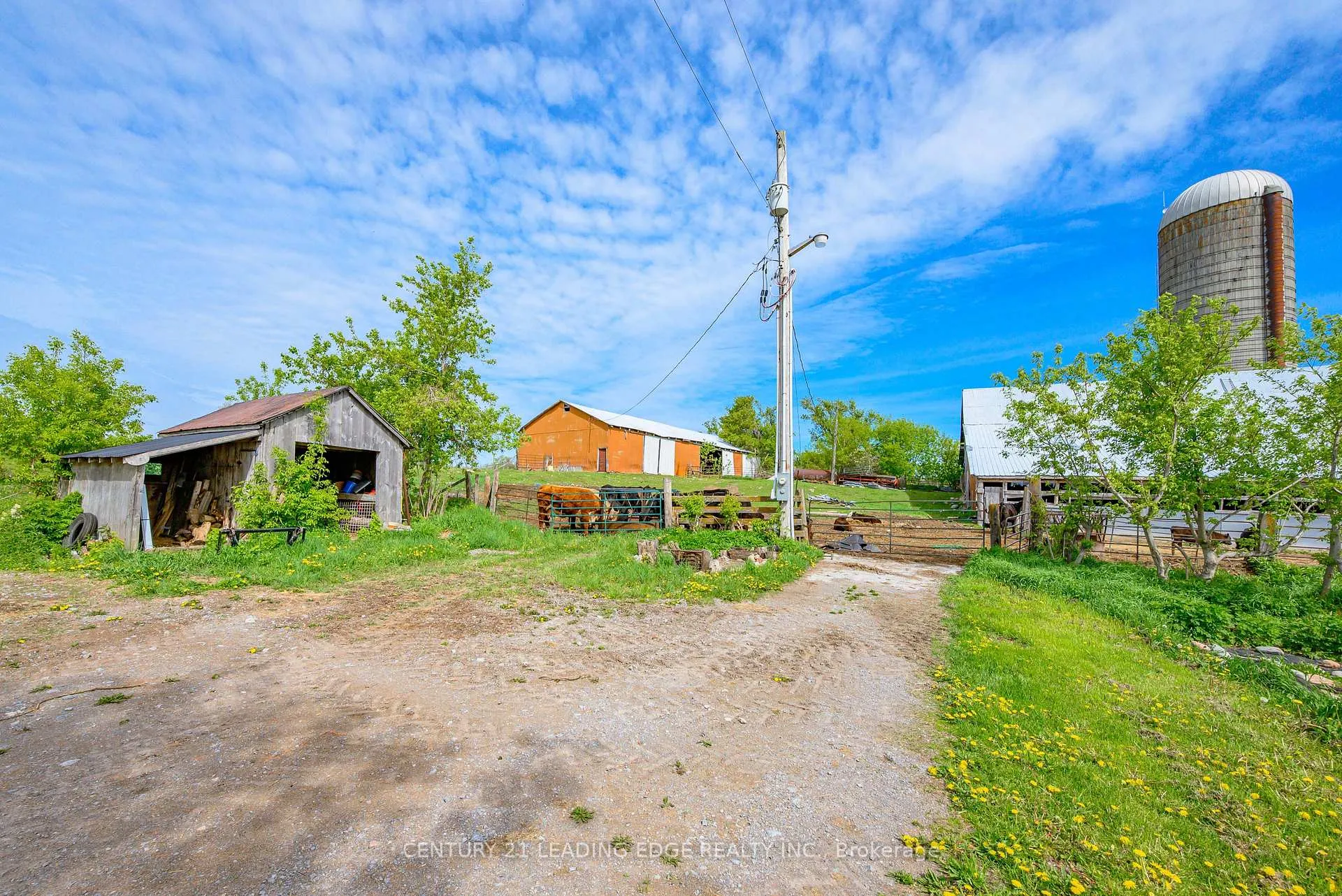 Photo 39 of 801 Ballyduff Road, Kawartha Lakes, Manvers — HOMEH