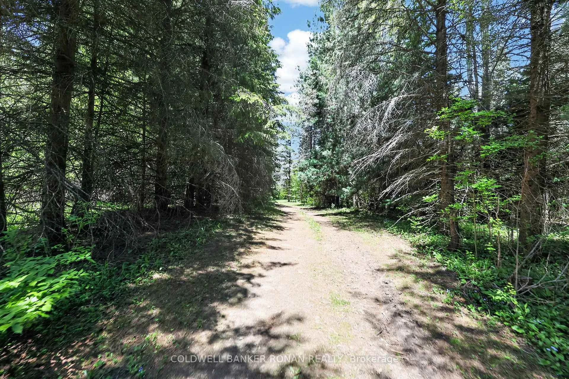 Photo 45 of 5565 5th Line, New Tecumseth, Rural New Tecumseth — HOMEH