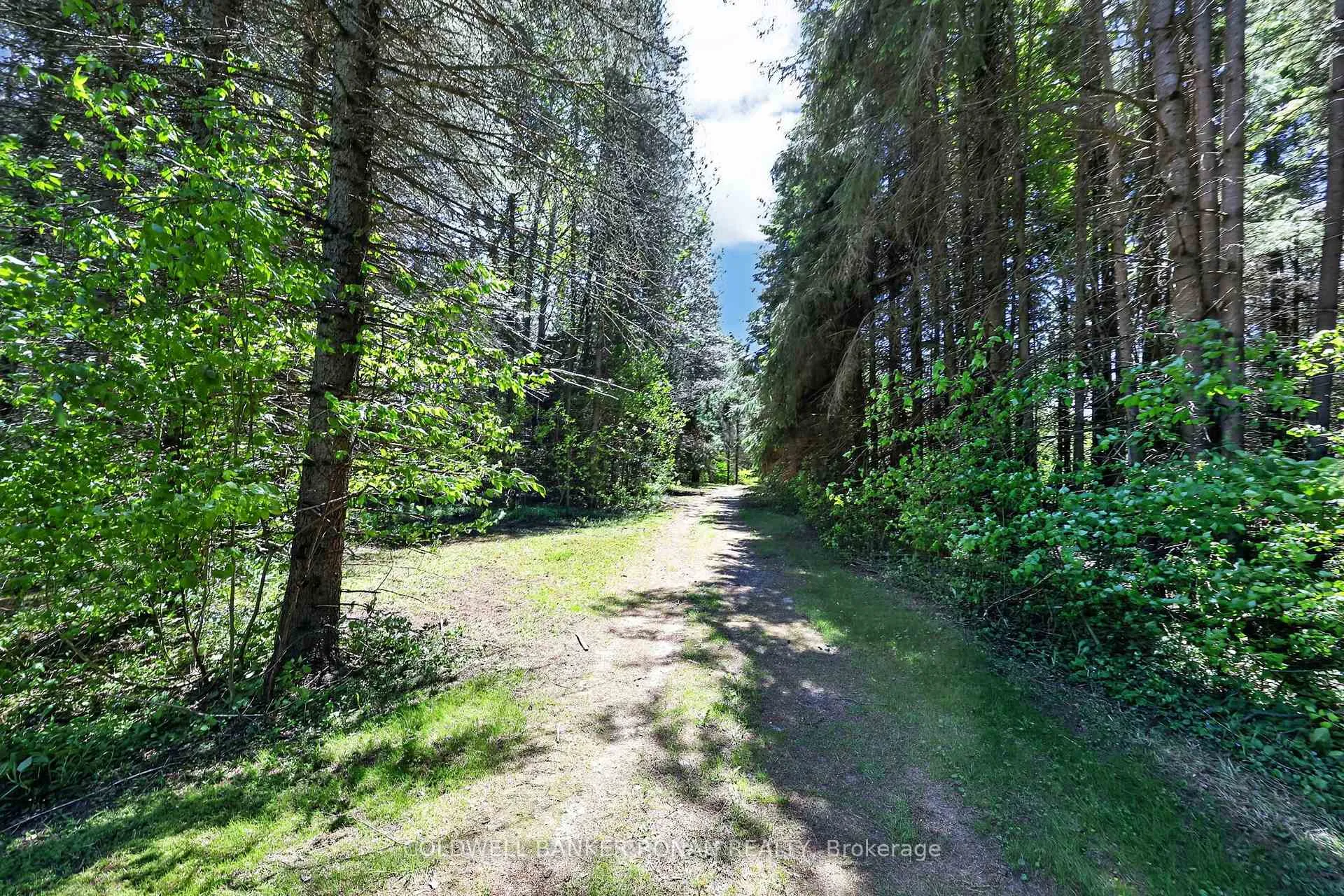 Photo 46 of 5565 5th Line, New Tecumseth, Rural New Tecumseth — HOMEH