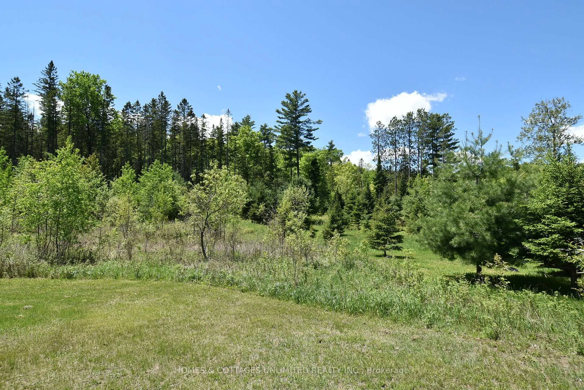 Photo 13 of 6628 Buckshot Lake Road, Frontenac, Frontenac North — HOMEH