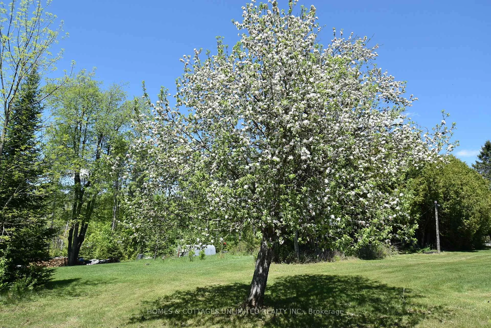 Photo 14 of 6628 Buckshot Lake Road, Frontenac, Frontenac North — HOMEH