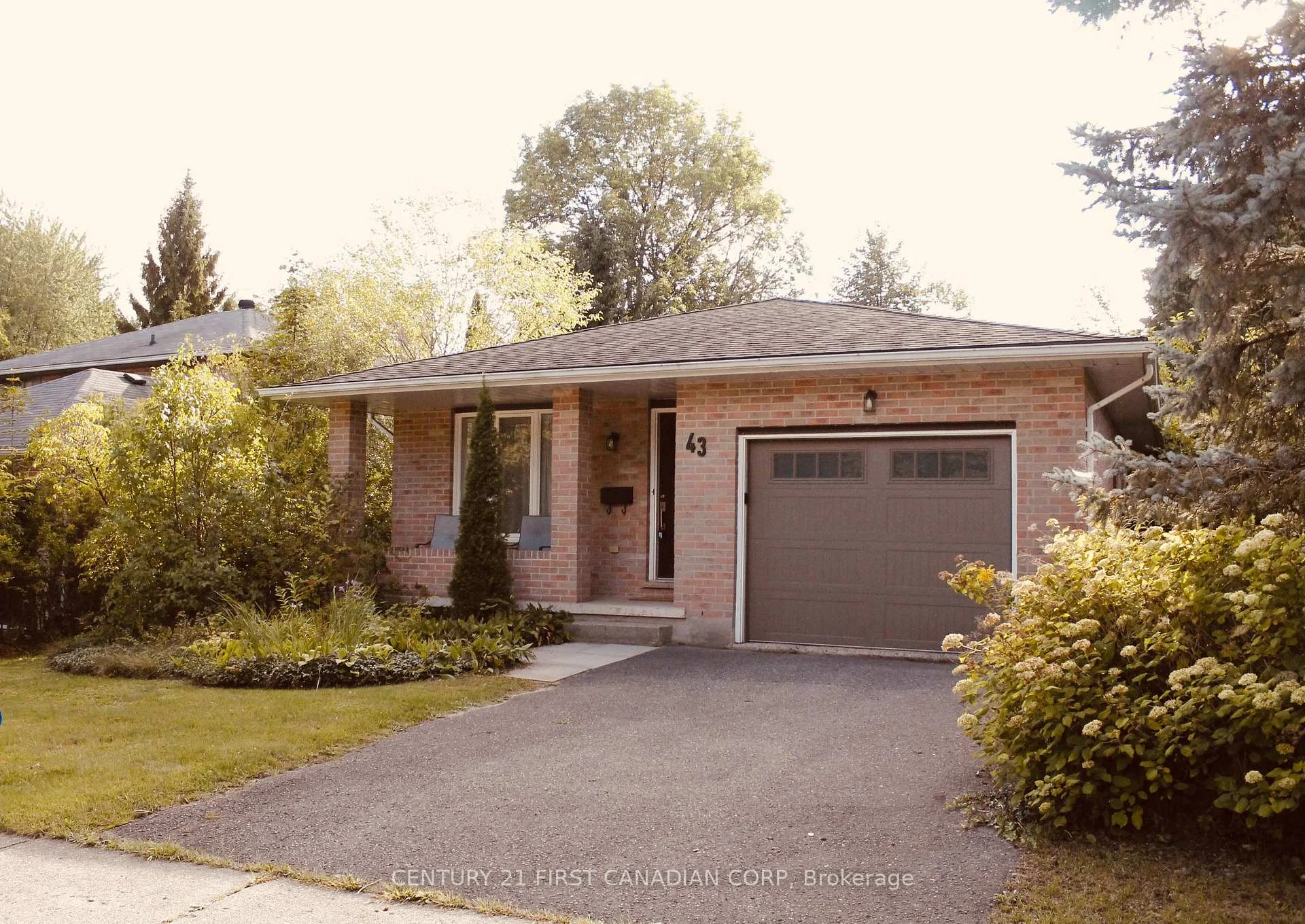 Photo of 43 Walmer Gardens