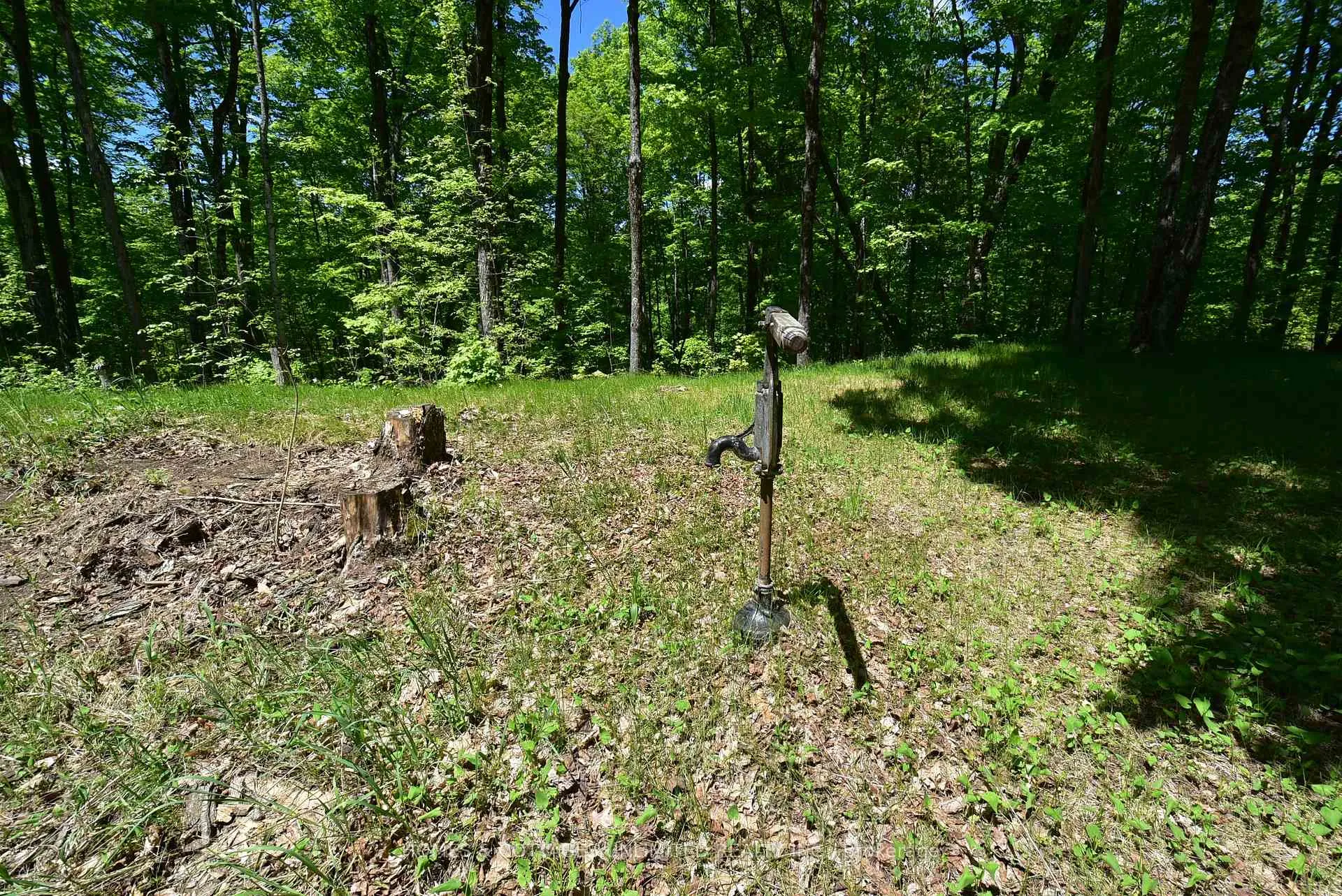 Photo 5 of 1046 S Bush Road, Frontenac, Frontenac North — HOMEH