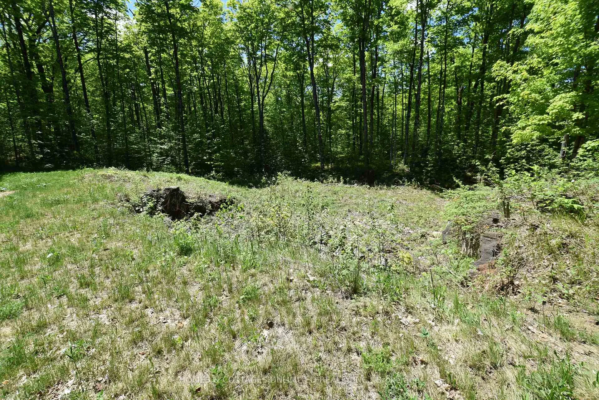 Photo 8 of 1046 S Bush Road, Frontenac, Frontenac North — HOMEH