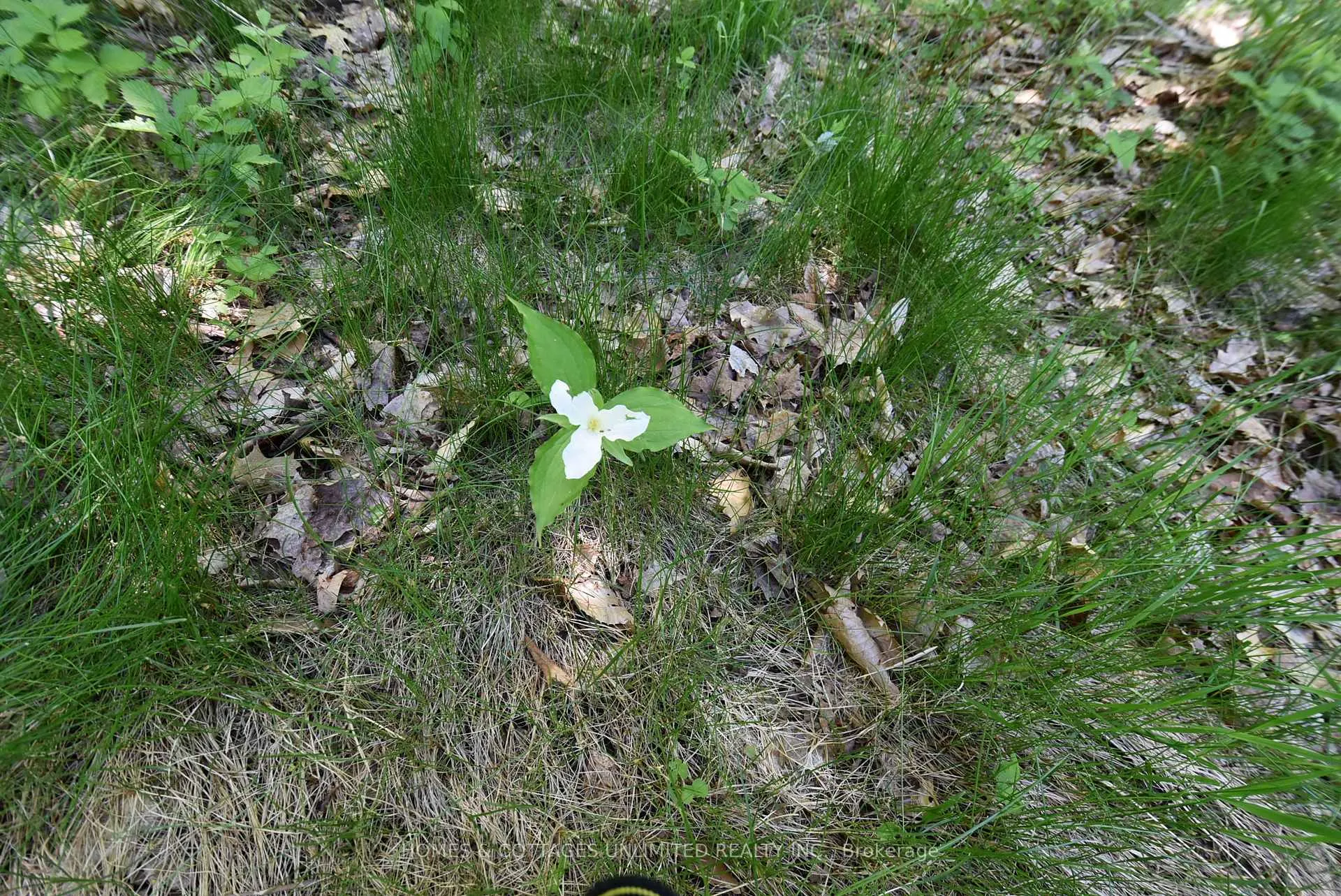 Photo 12 of 1046 S Bush Road, Frontenac, Frontenac North — HOMEH