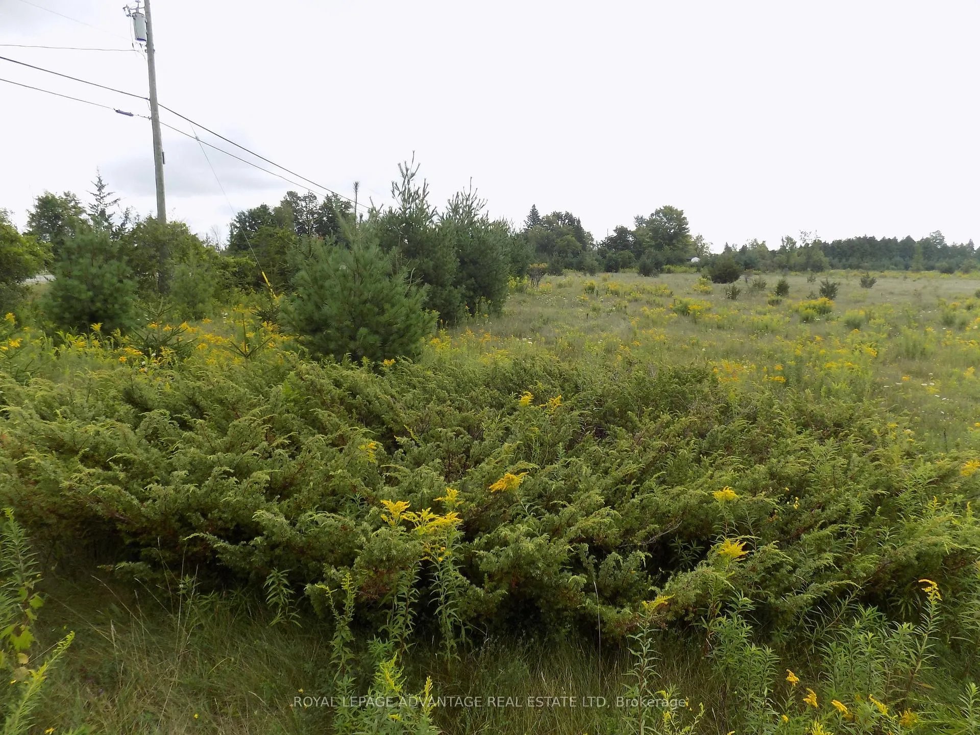 Photo of 00 Hwy 43 W