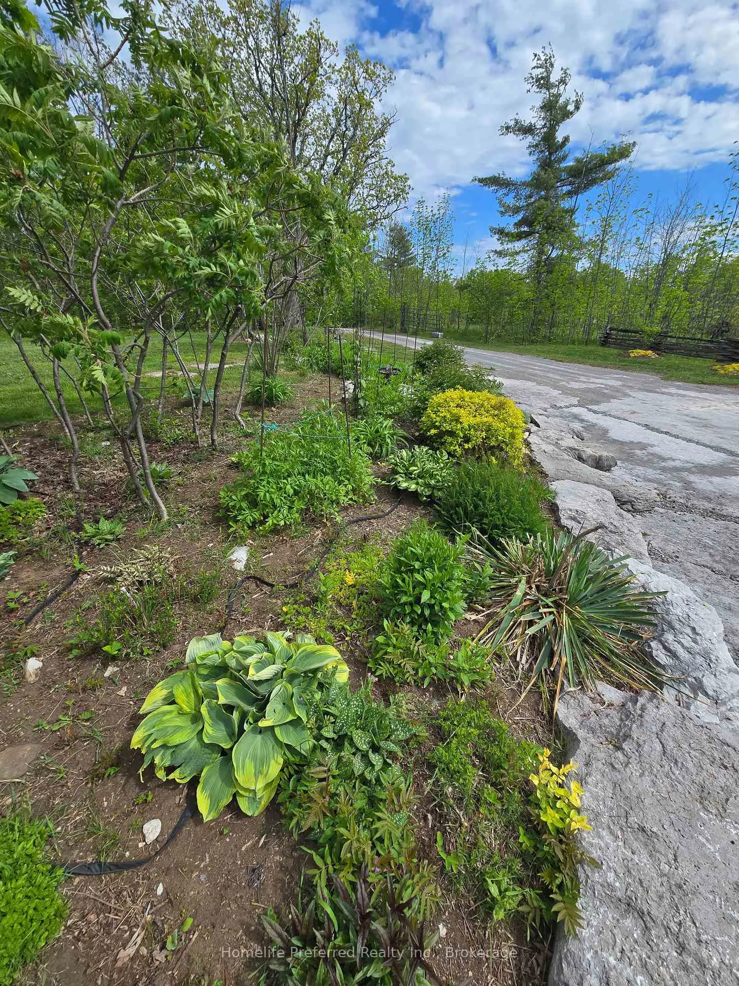 Photo 36 of 6070 28 Highway, North Kawartha — HOMEH
