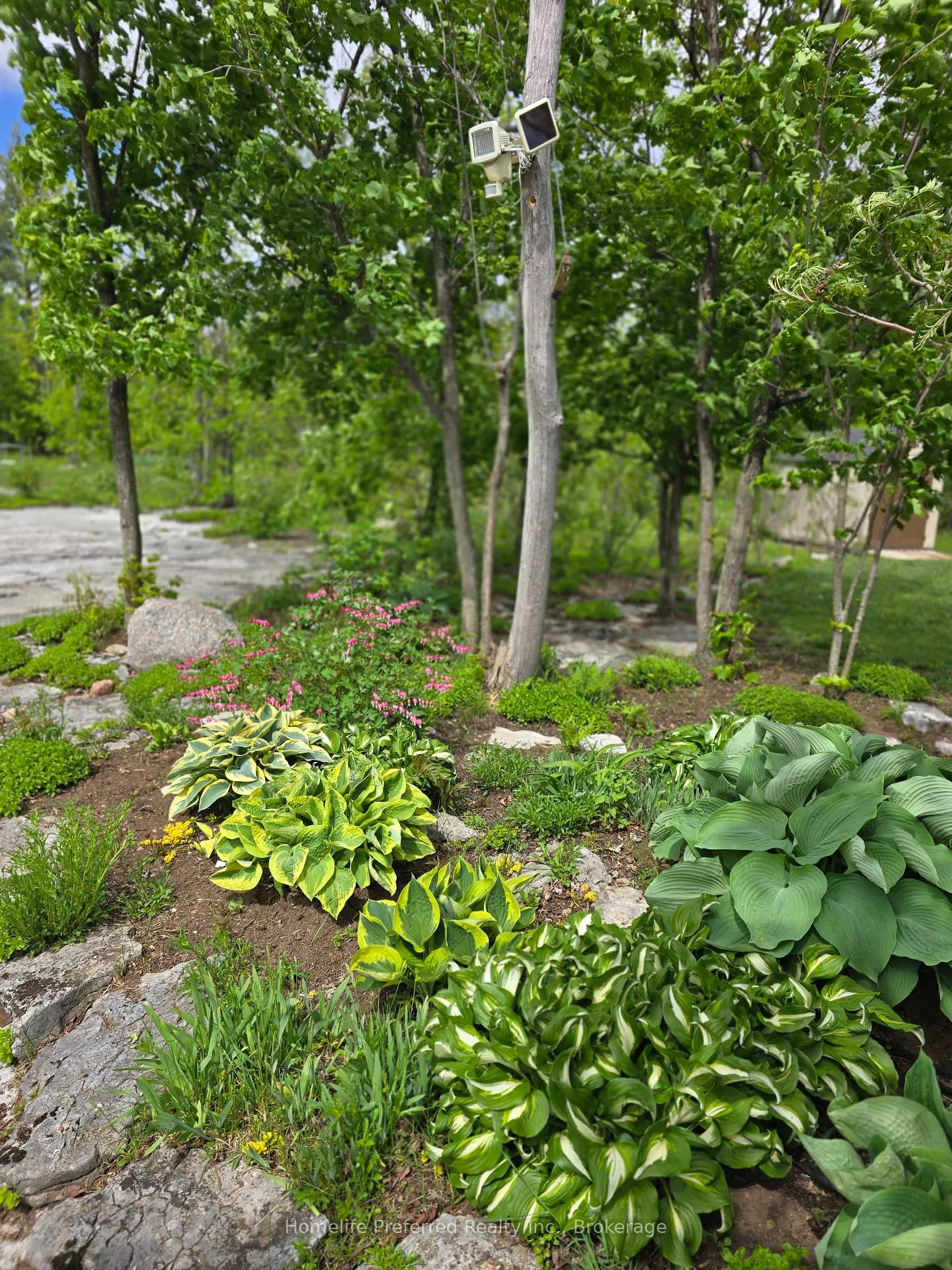 Photo 38 of 6070 28 Highway, North Kawartha — HOMEH