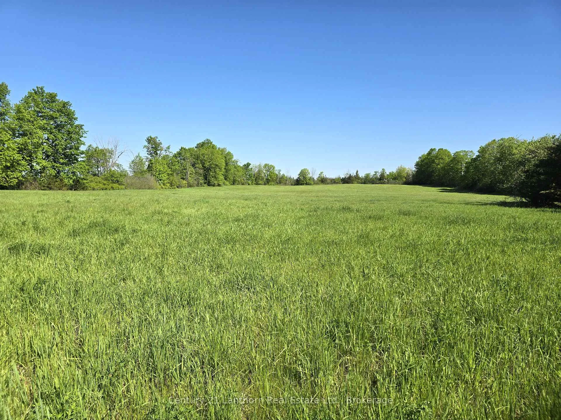 Photo 2 of Bronk Road, Belleville, Thurlow Ward — HOMEH